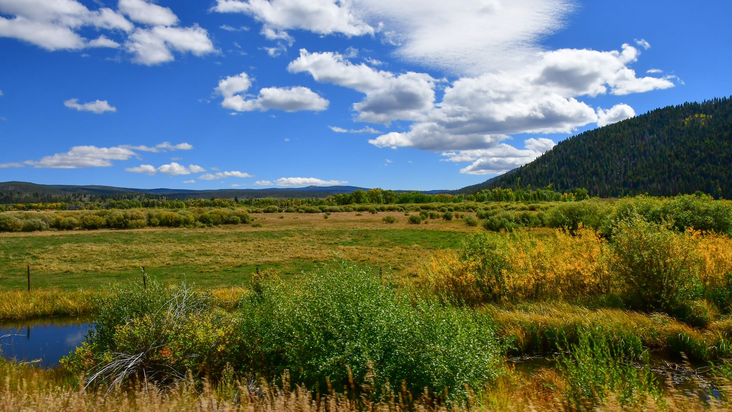 all'ingresso della Medecine Bow n.f.