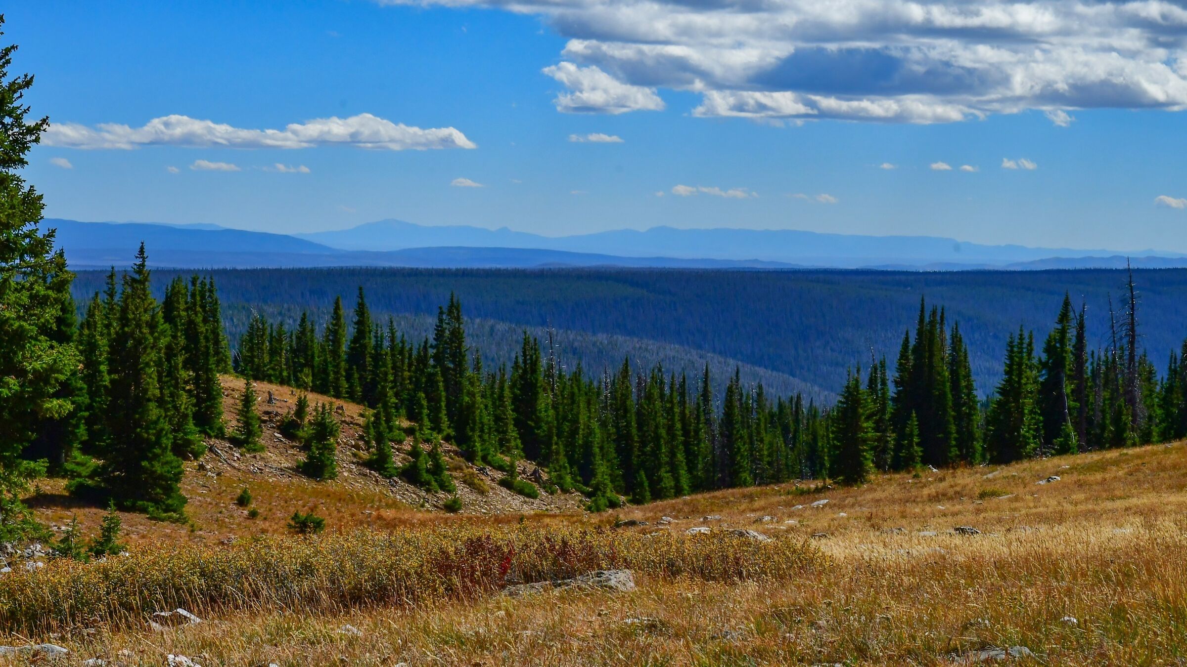 vista senza confini dalla Snowy Range