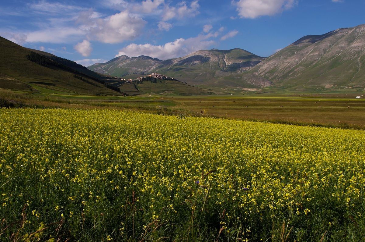 castelluccio