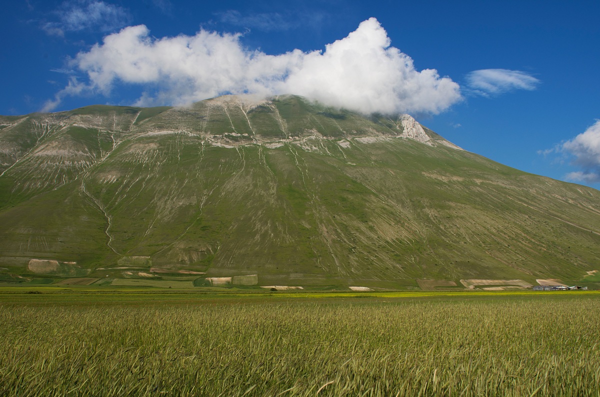 castelluccio