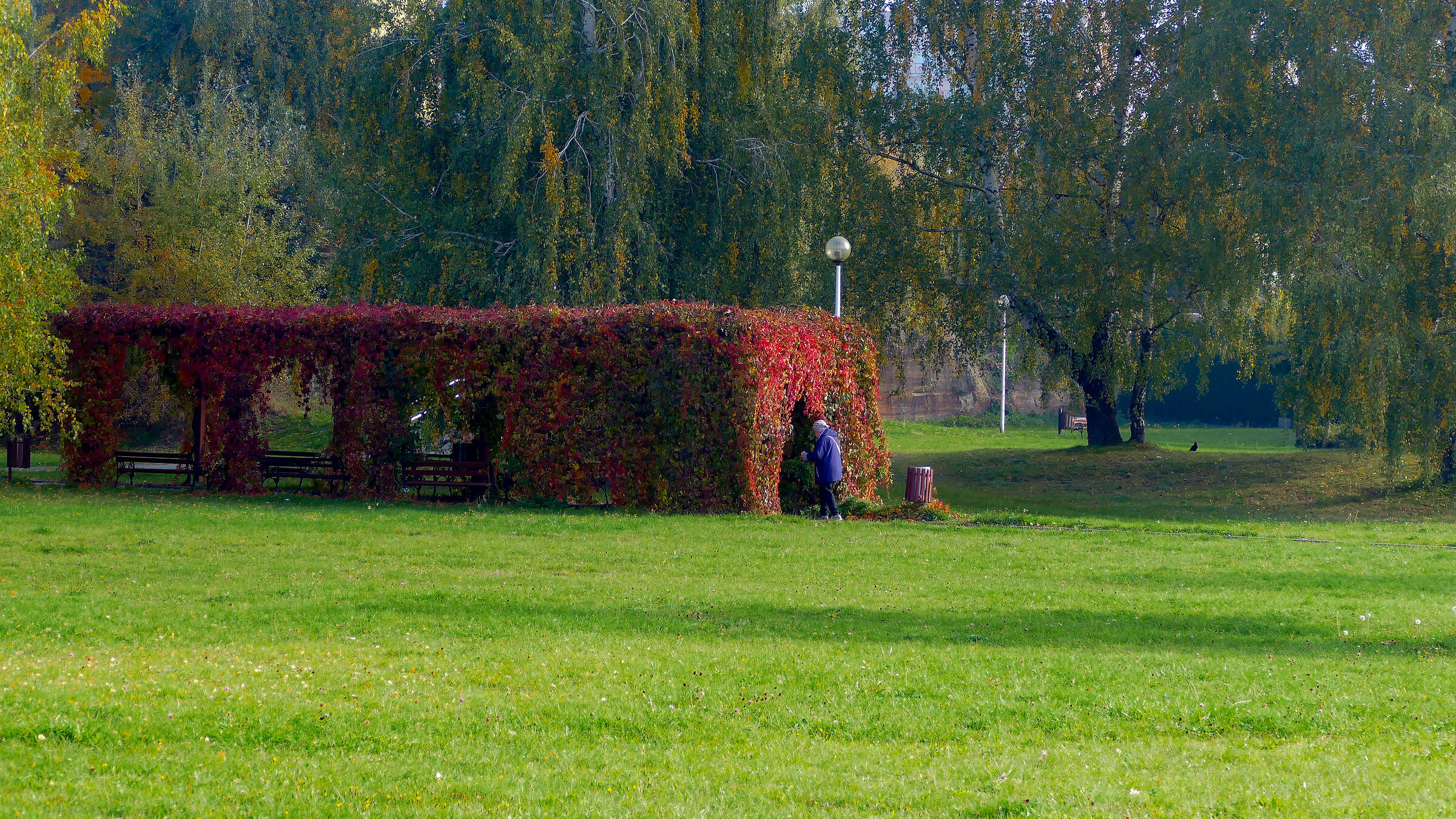 Autumn 2