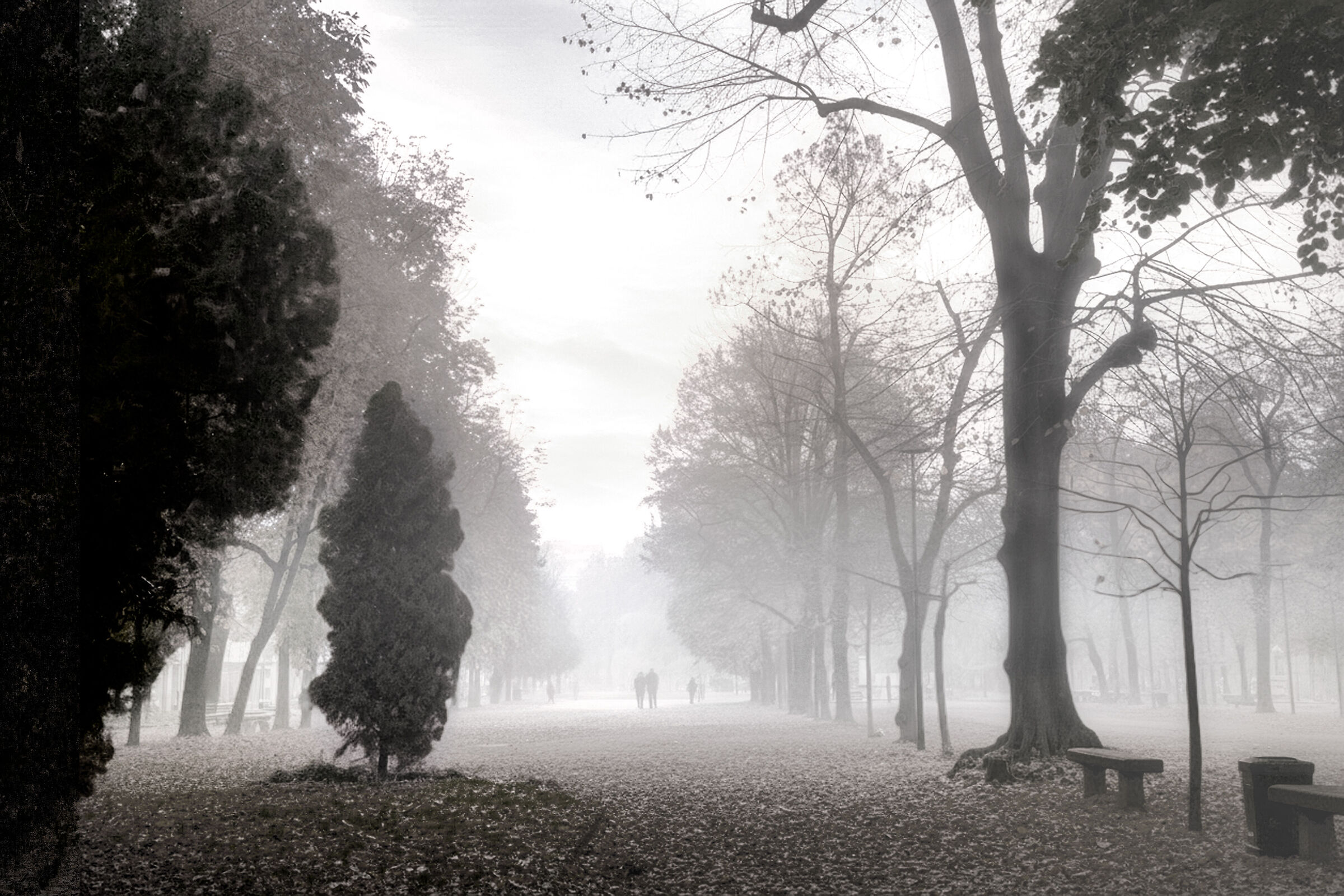 al parco