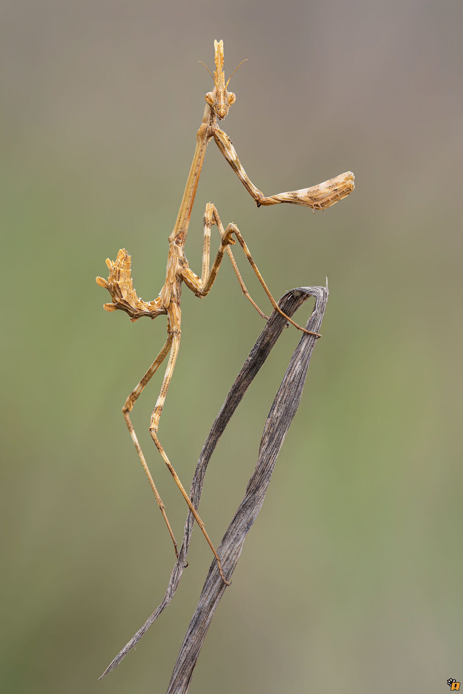 Che sorpresa! (parte 2)