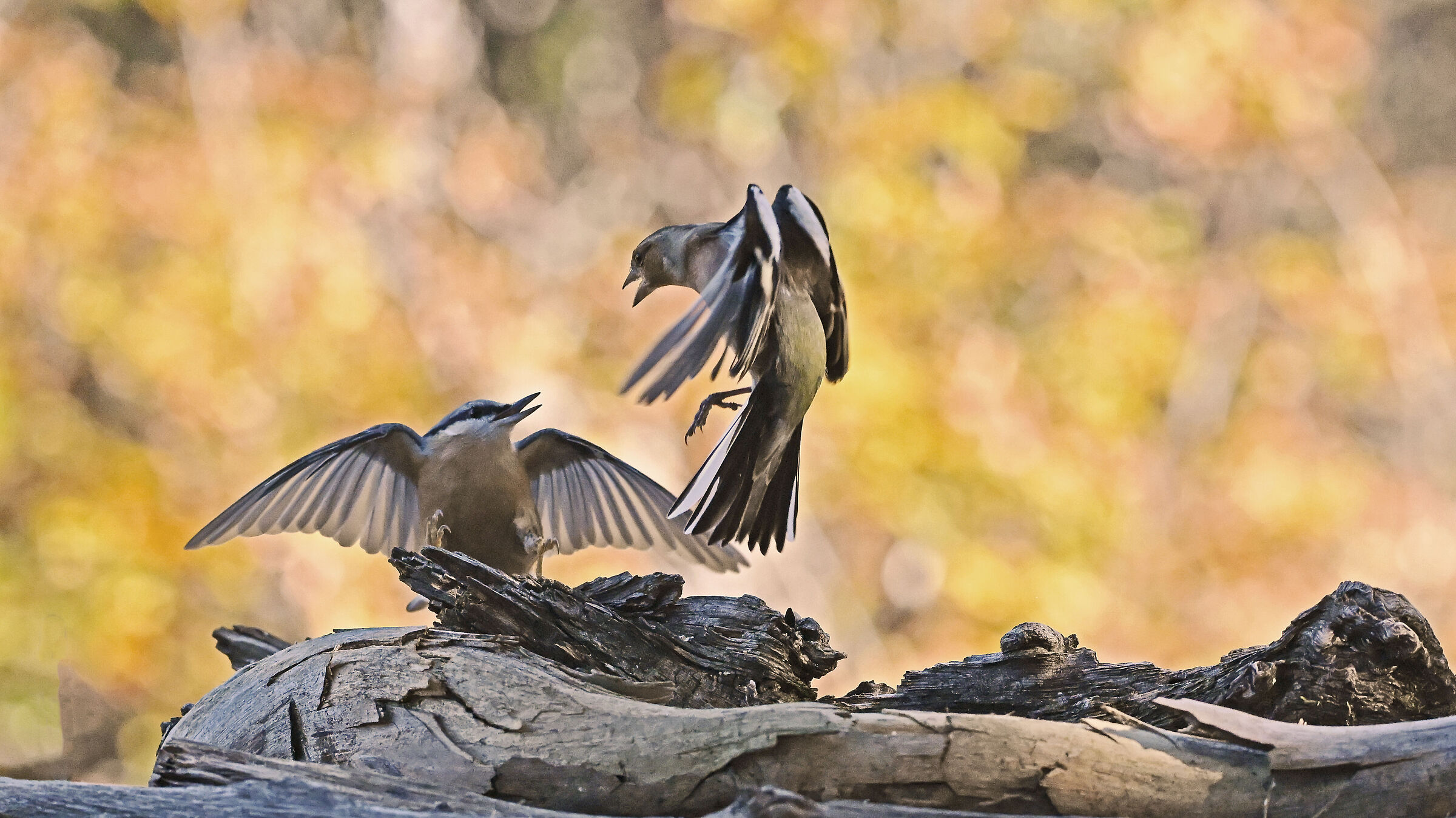 You are not welcome!