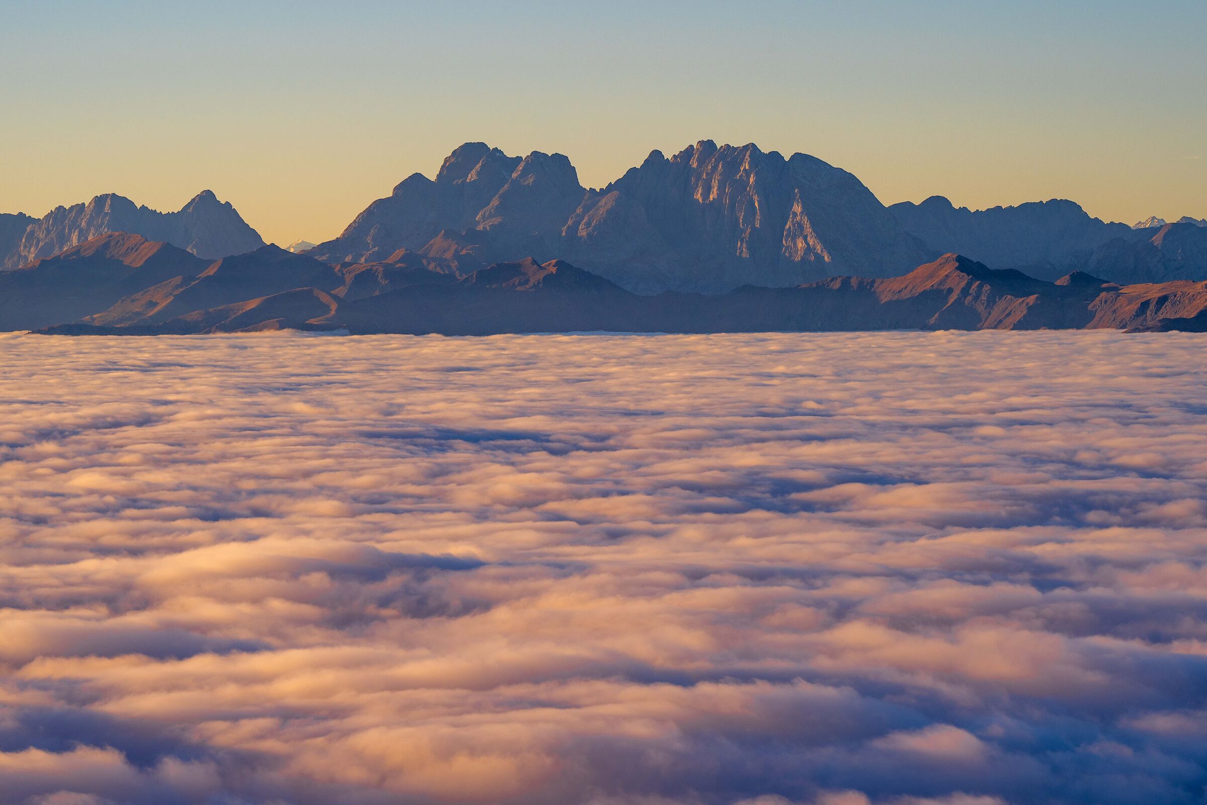 The group of coglians