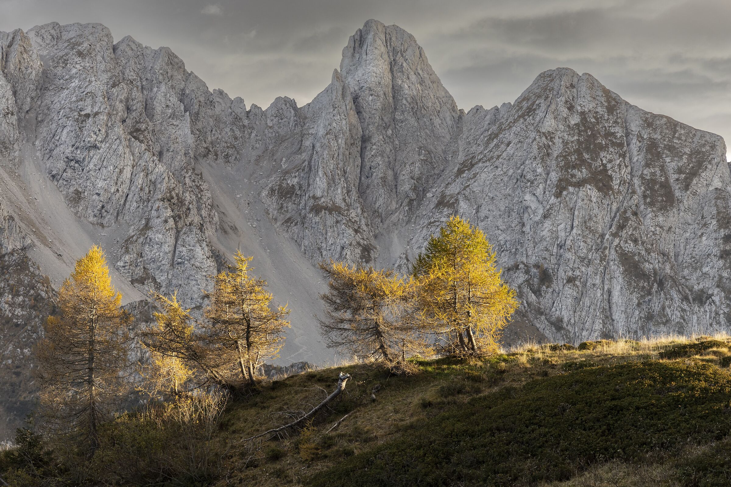 The light before the storm