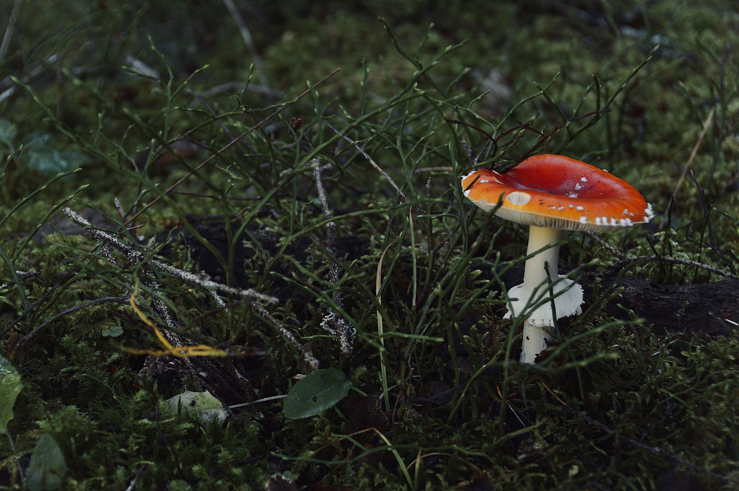 … Be careful!! ....to the wives....