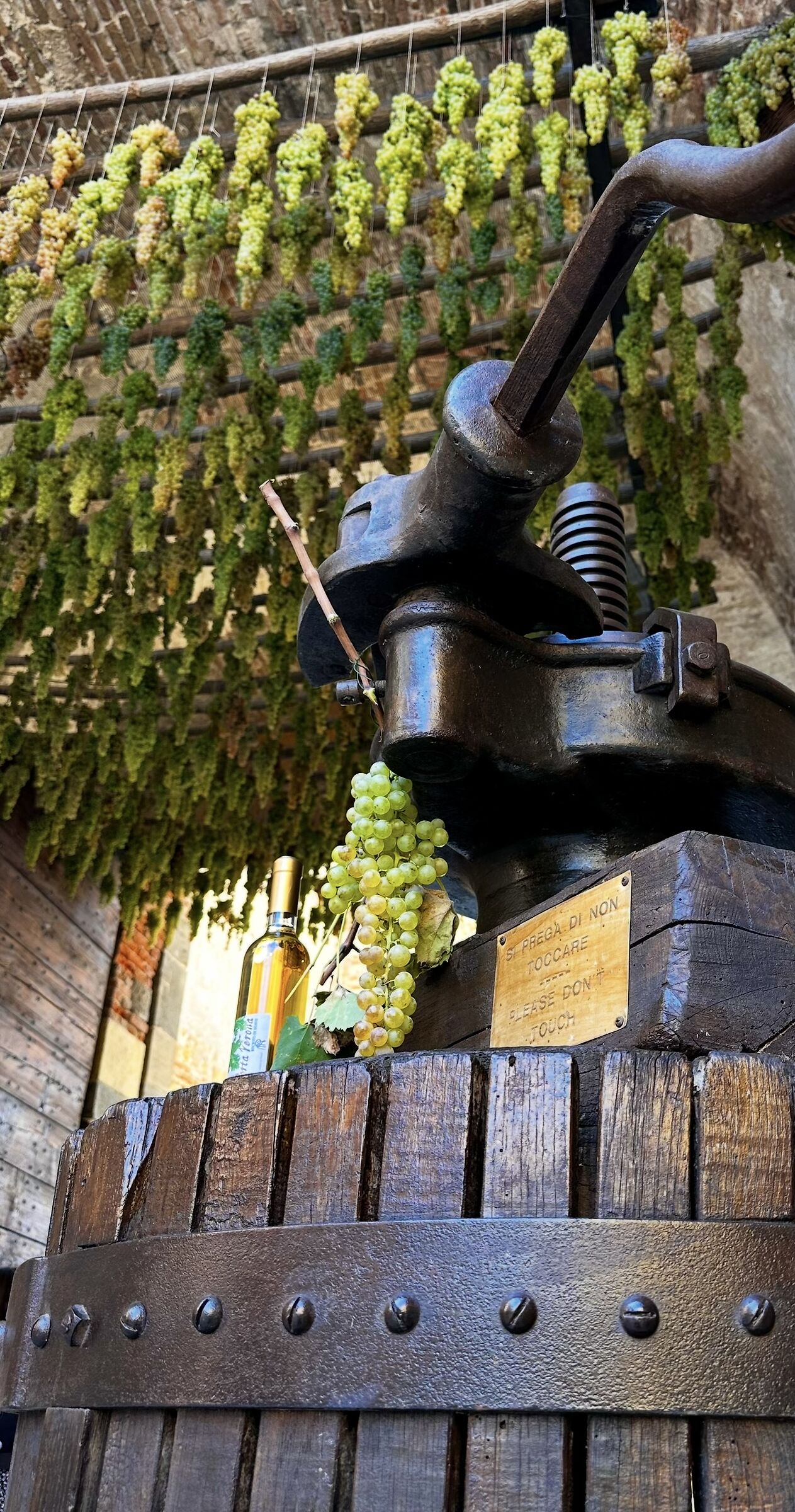 Festa del vino (Soave Vr.)
