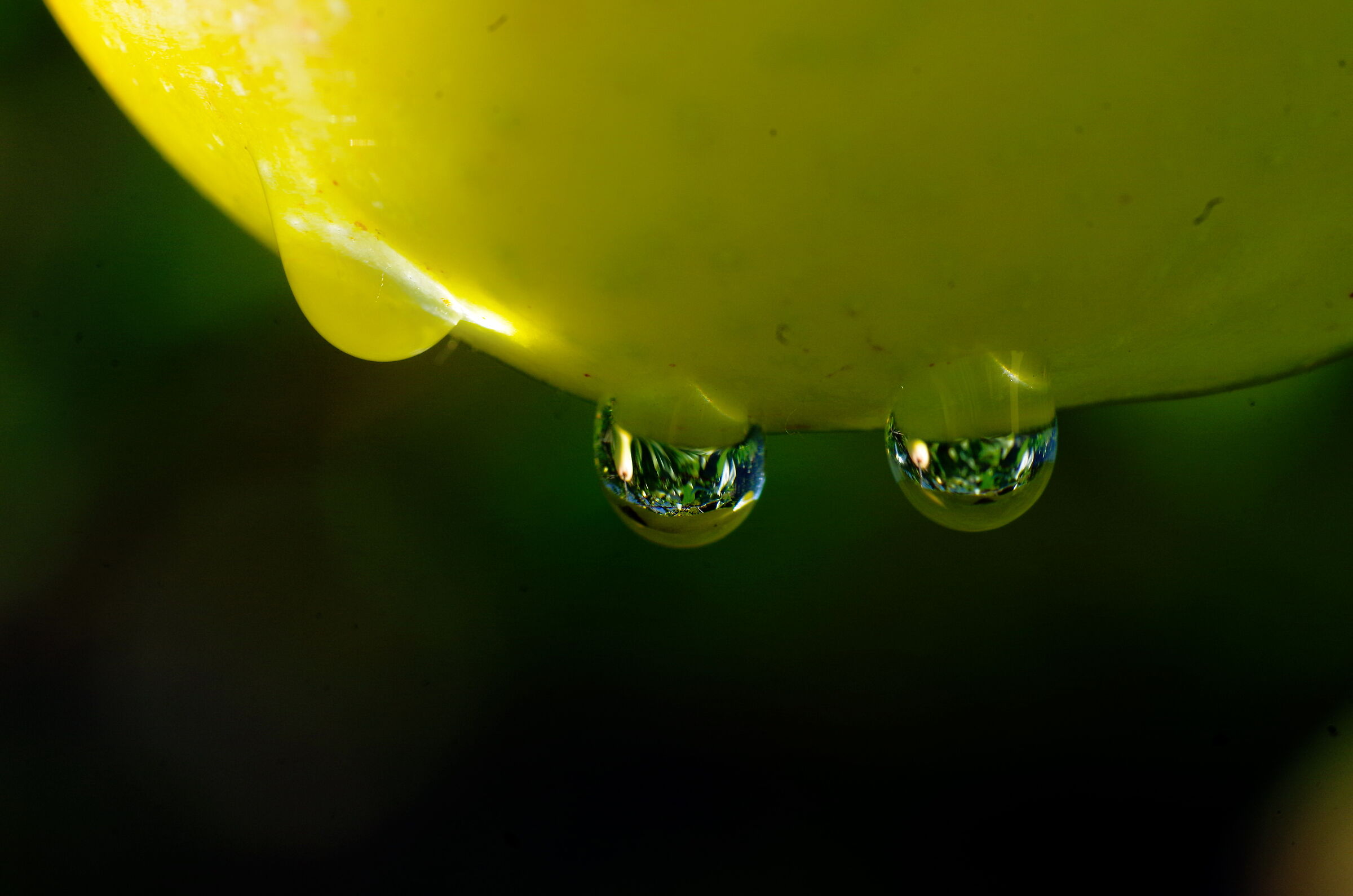 Droplets on an apple