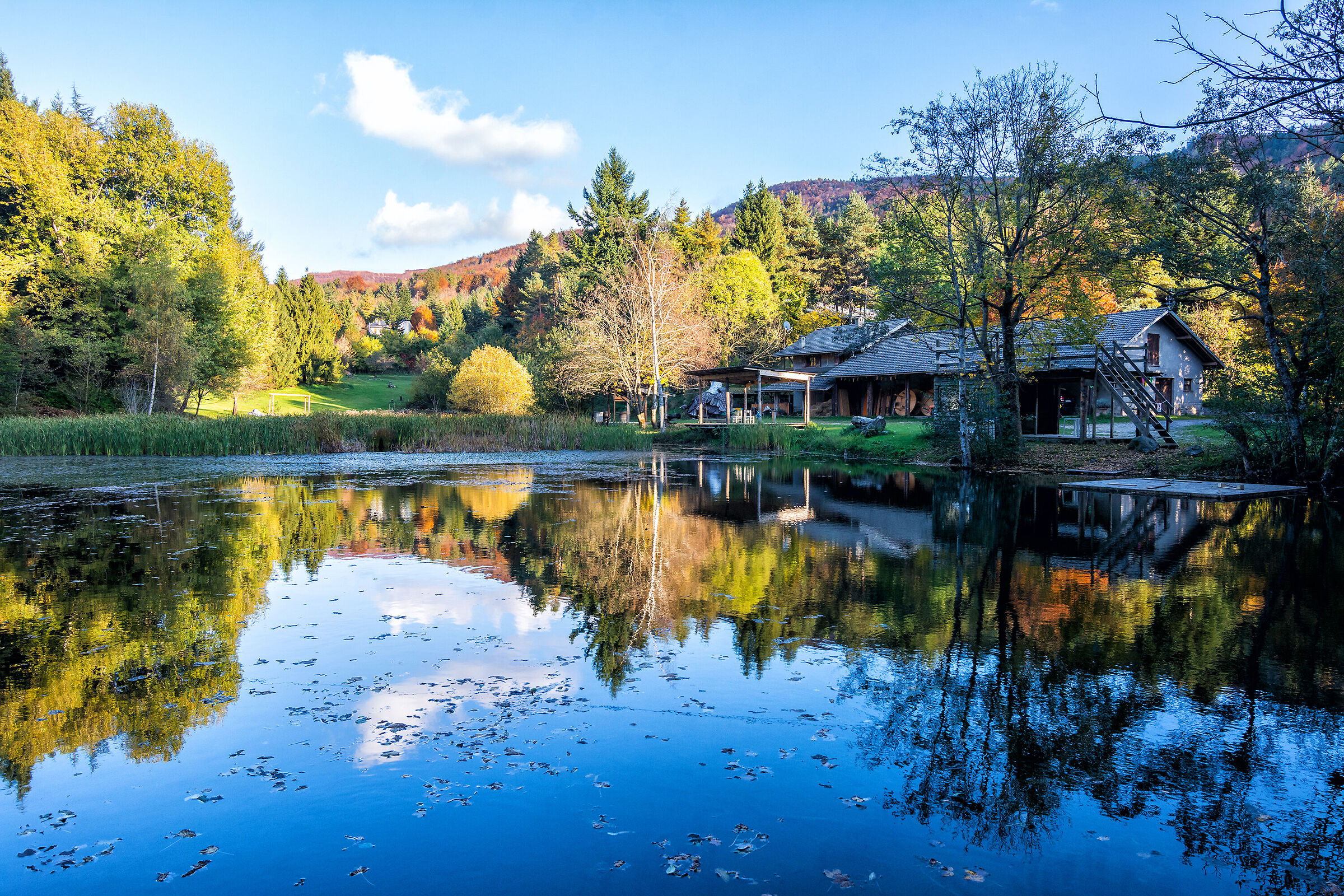 The lake of the dragonflies