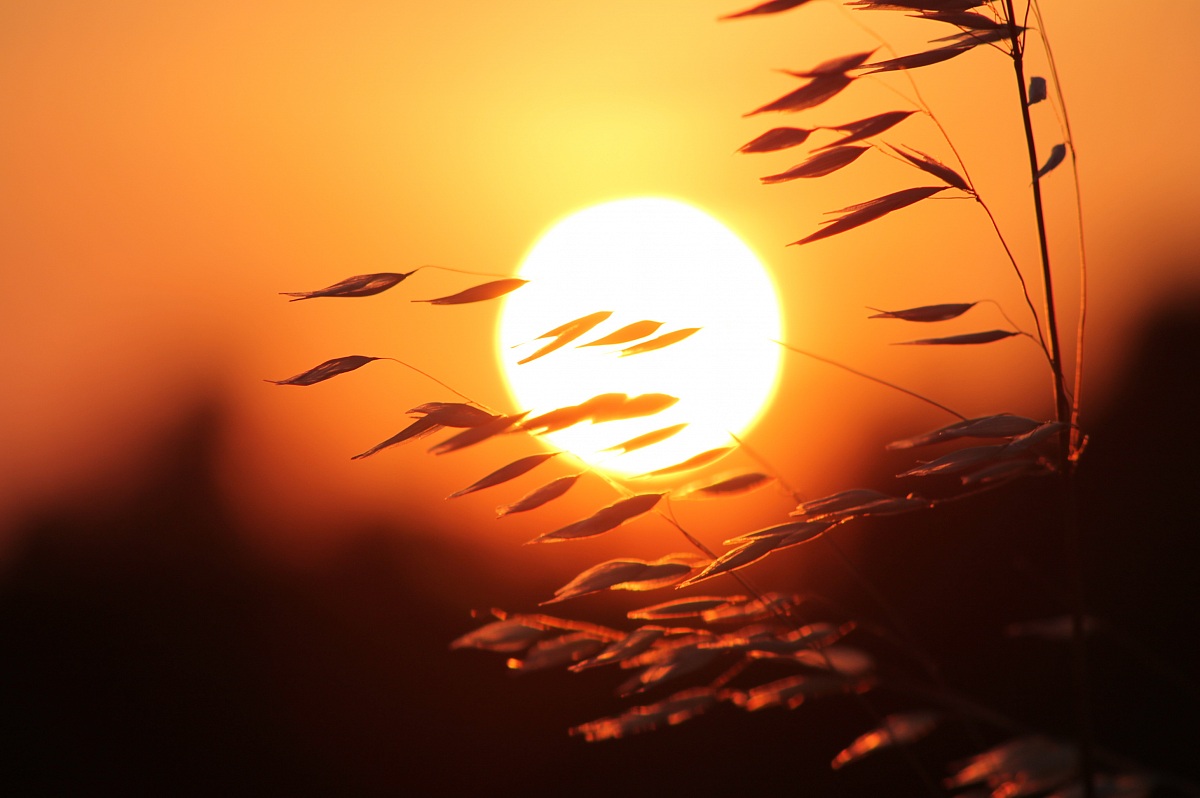 Oltre un semplice ricordo