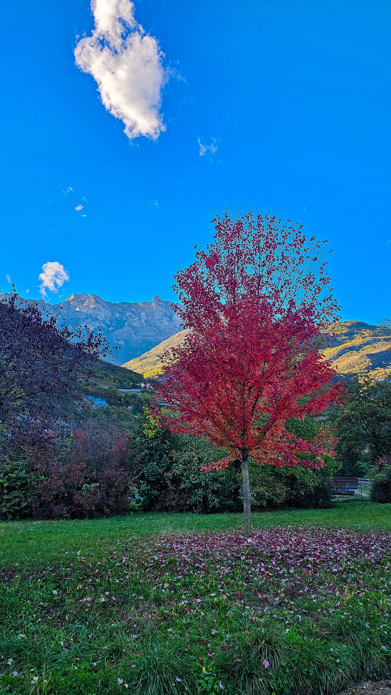 Autunno al parco di Aldeno (TN)