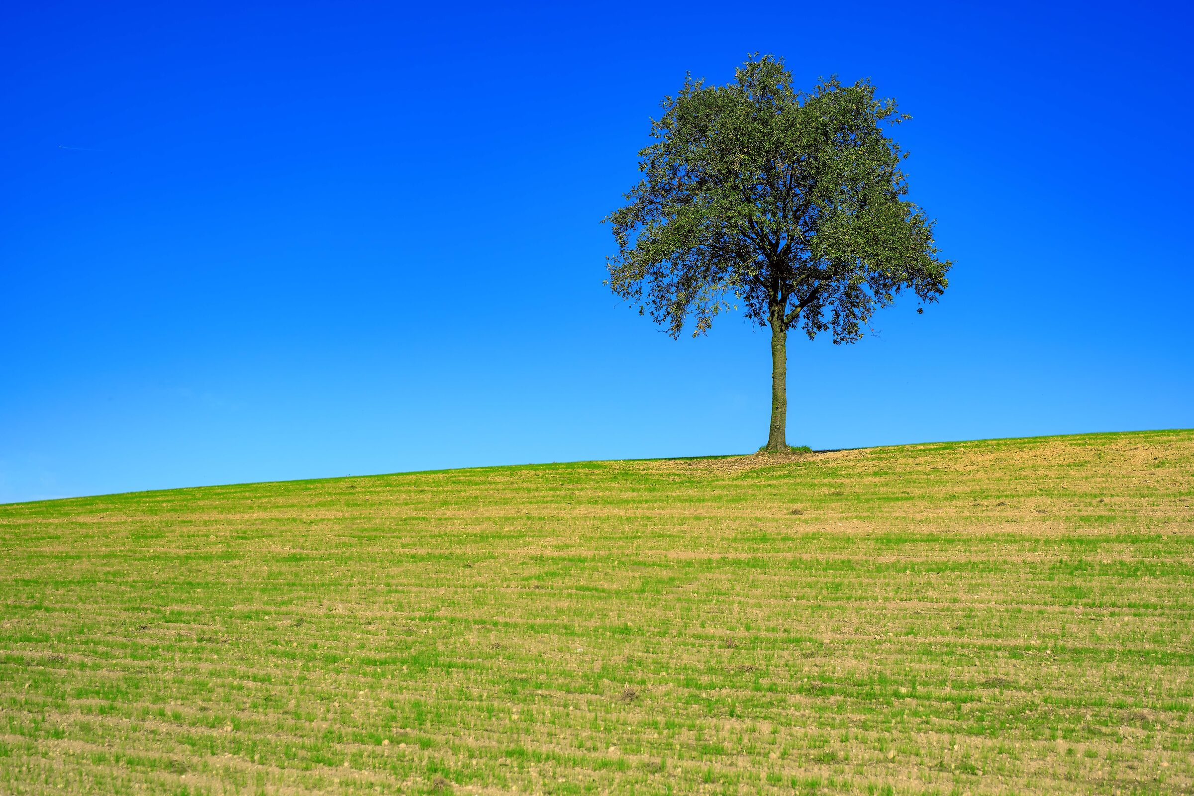 Semplicemente.................