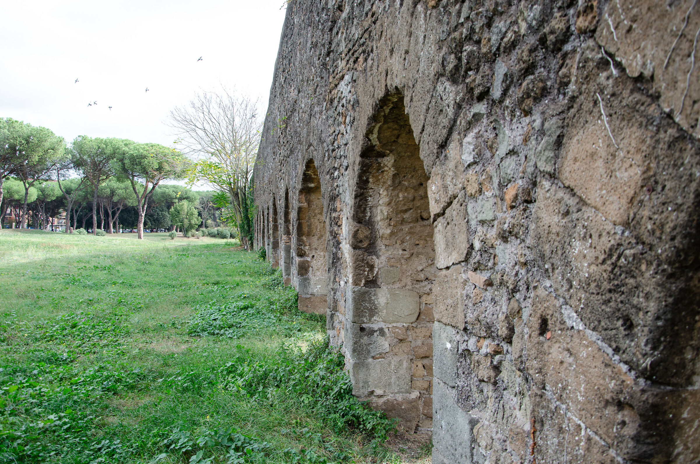 Historic Rome