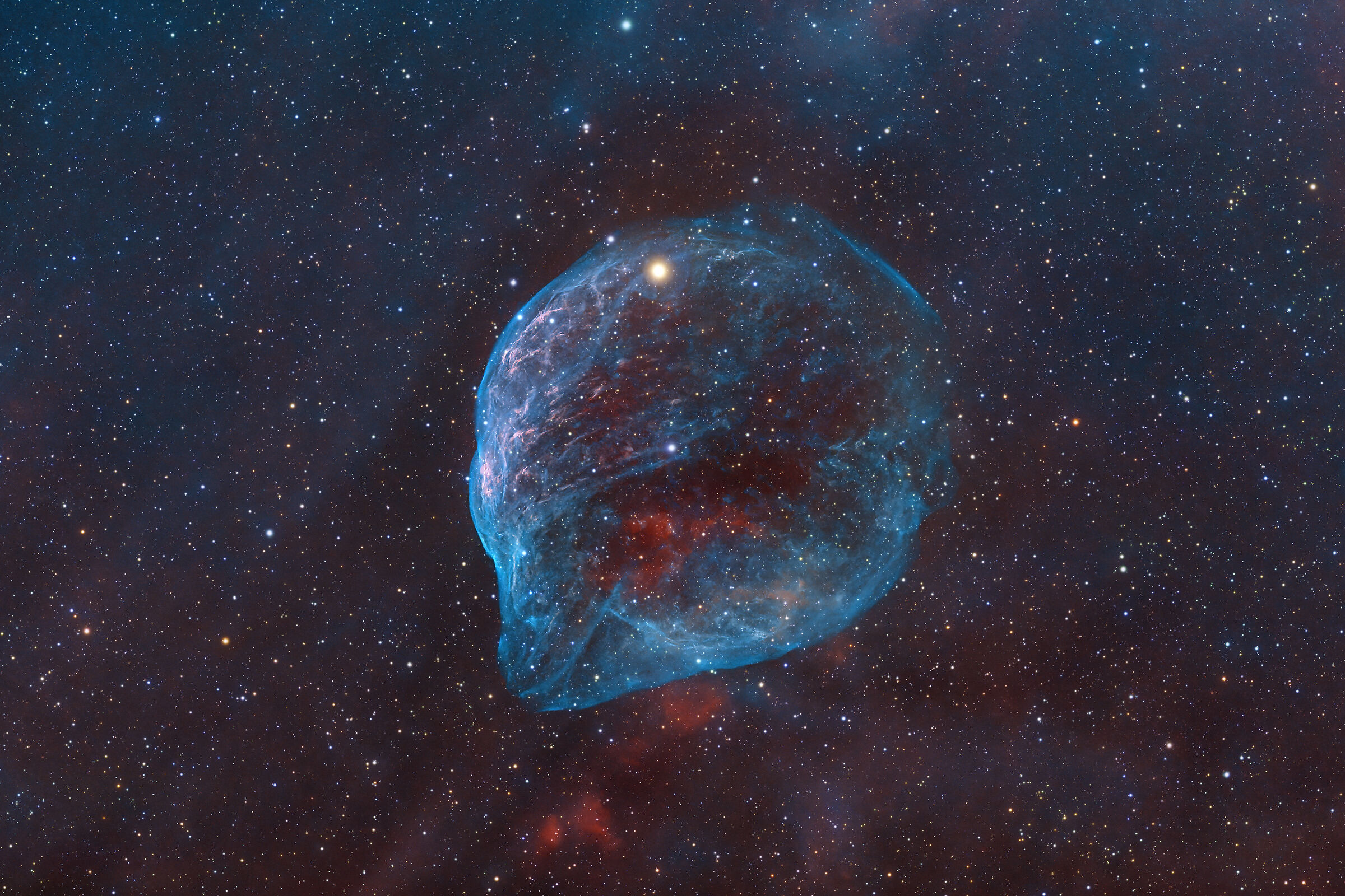 Dolphin Head Sh2-308