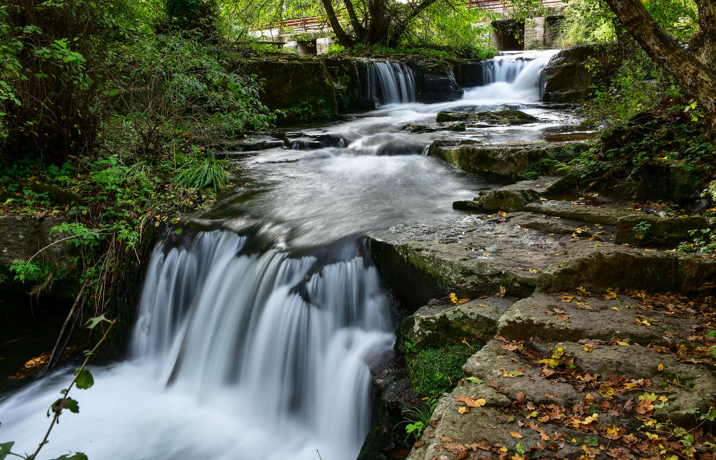 Parco Valle del Treja-Cascate Monte Gelato