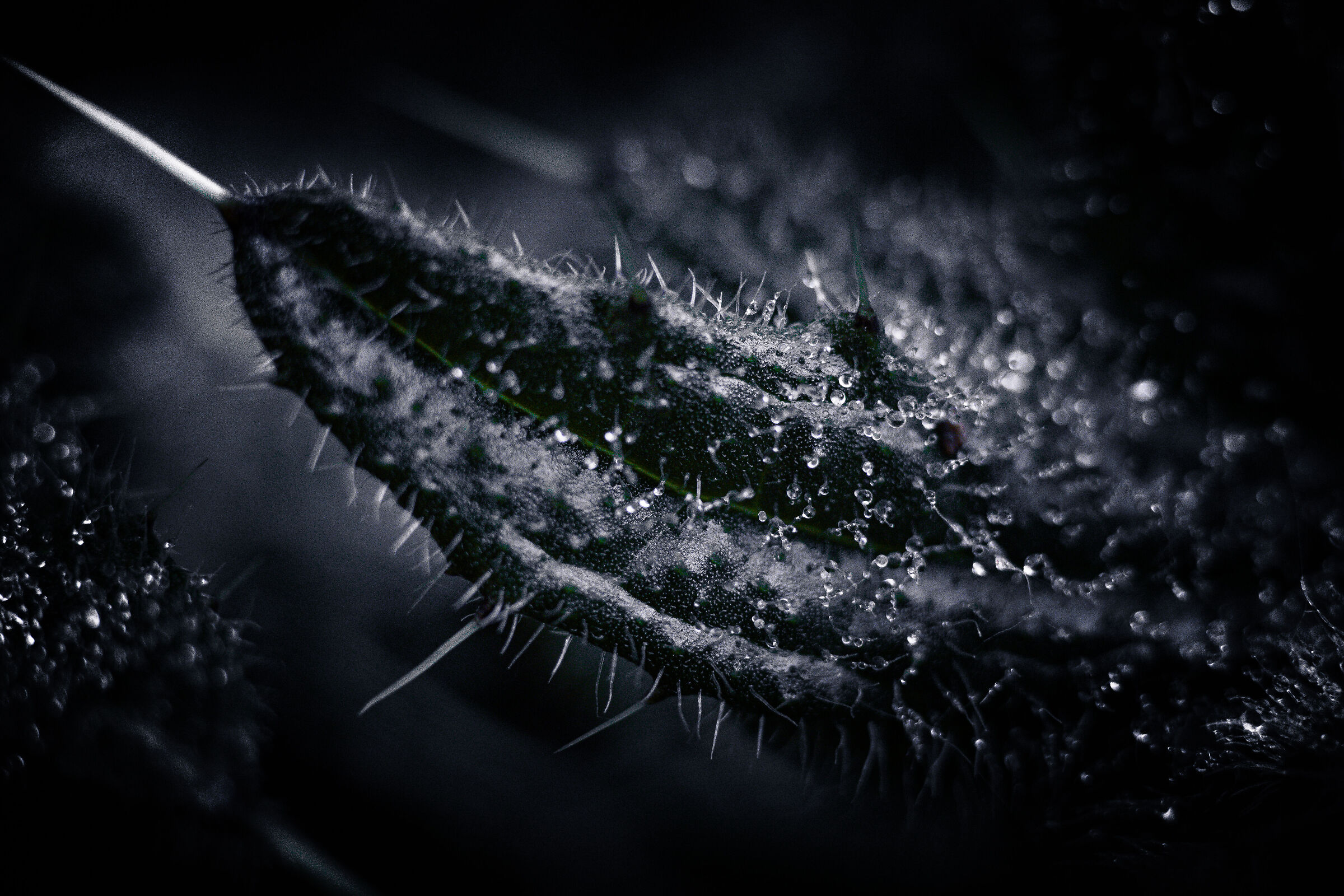 Droplets..
