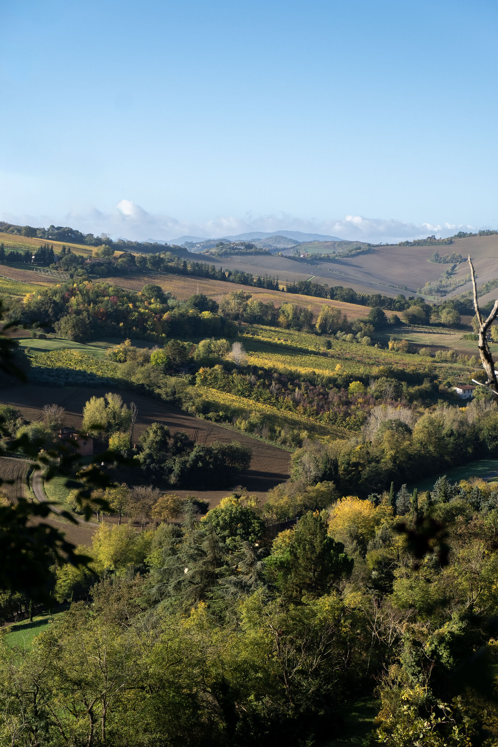 Multicolored autumn on the hills of Dozza