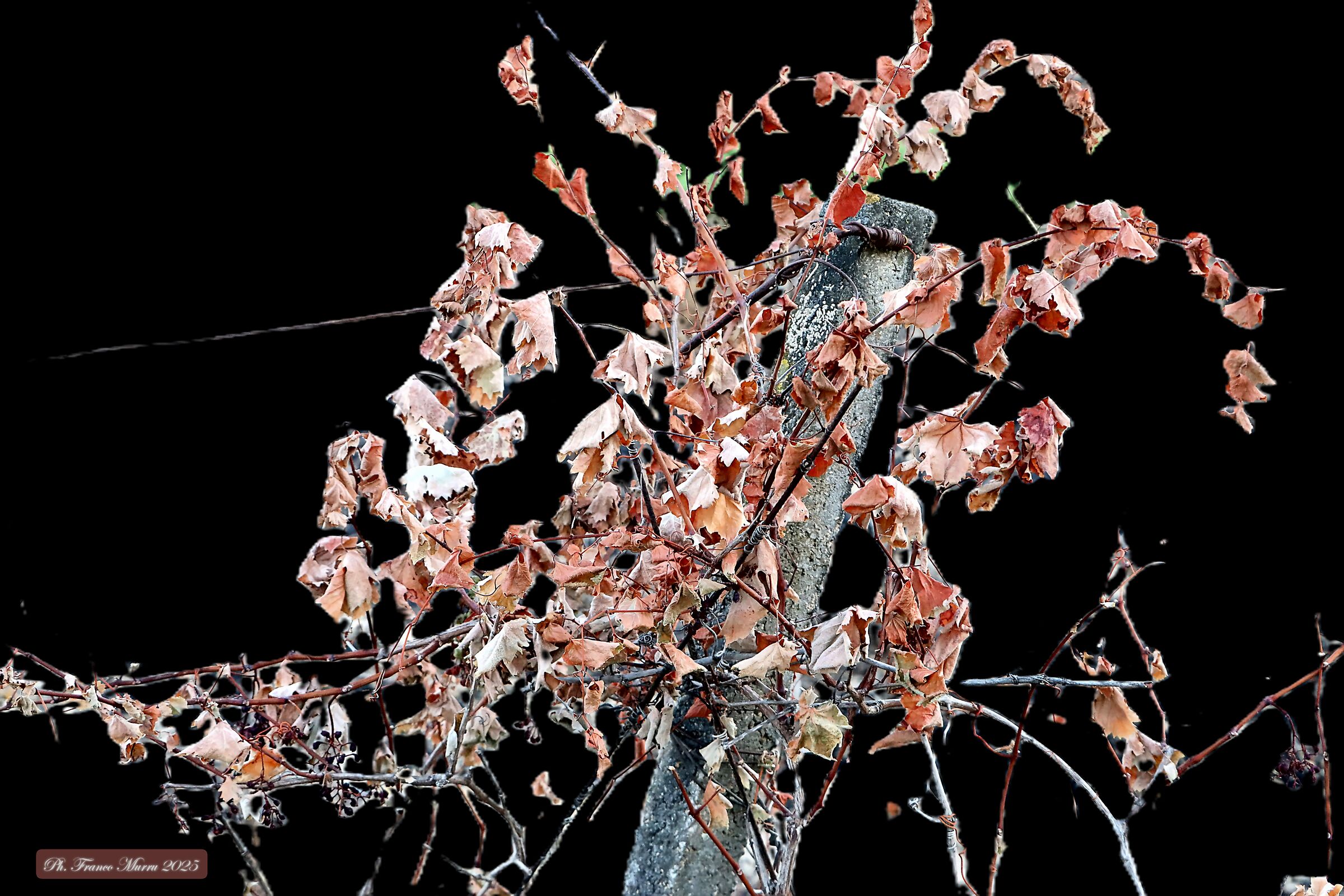 Approccio alla Foto 2