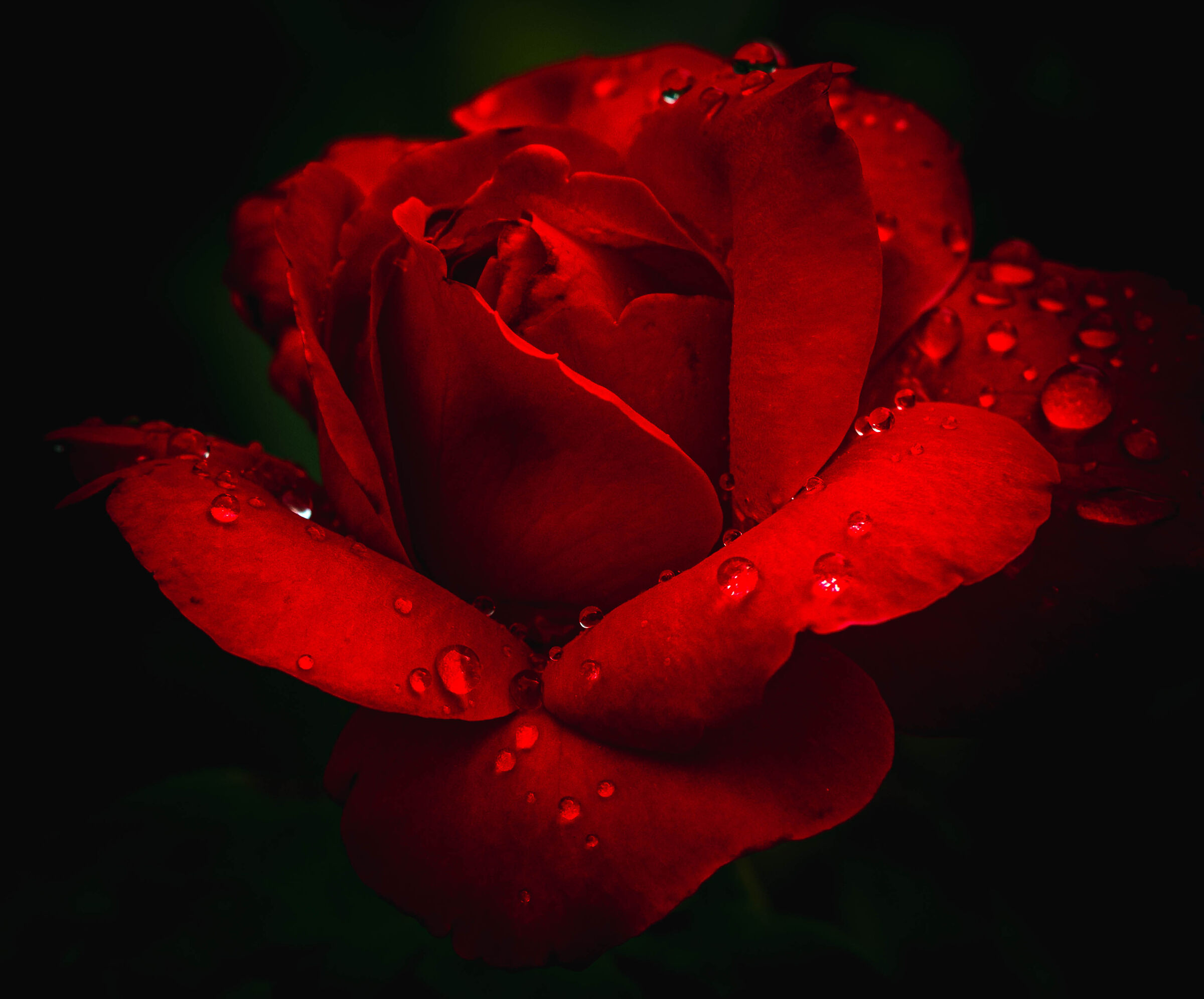 Love has no name