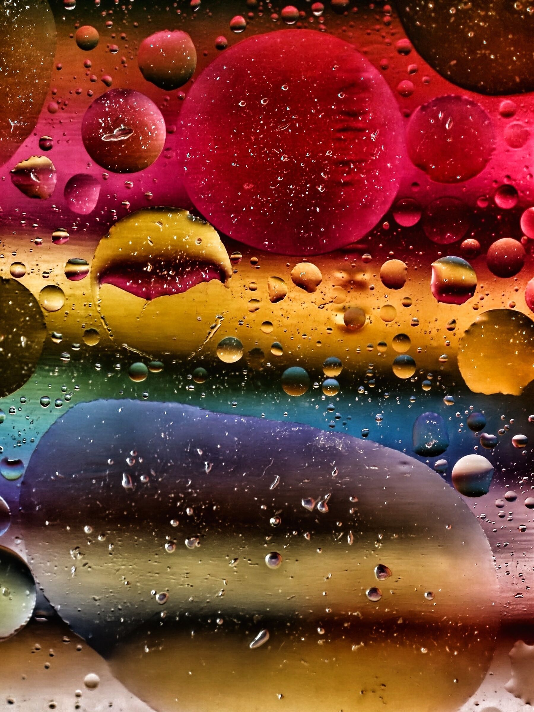 Untitled Photo