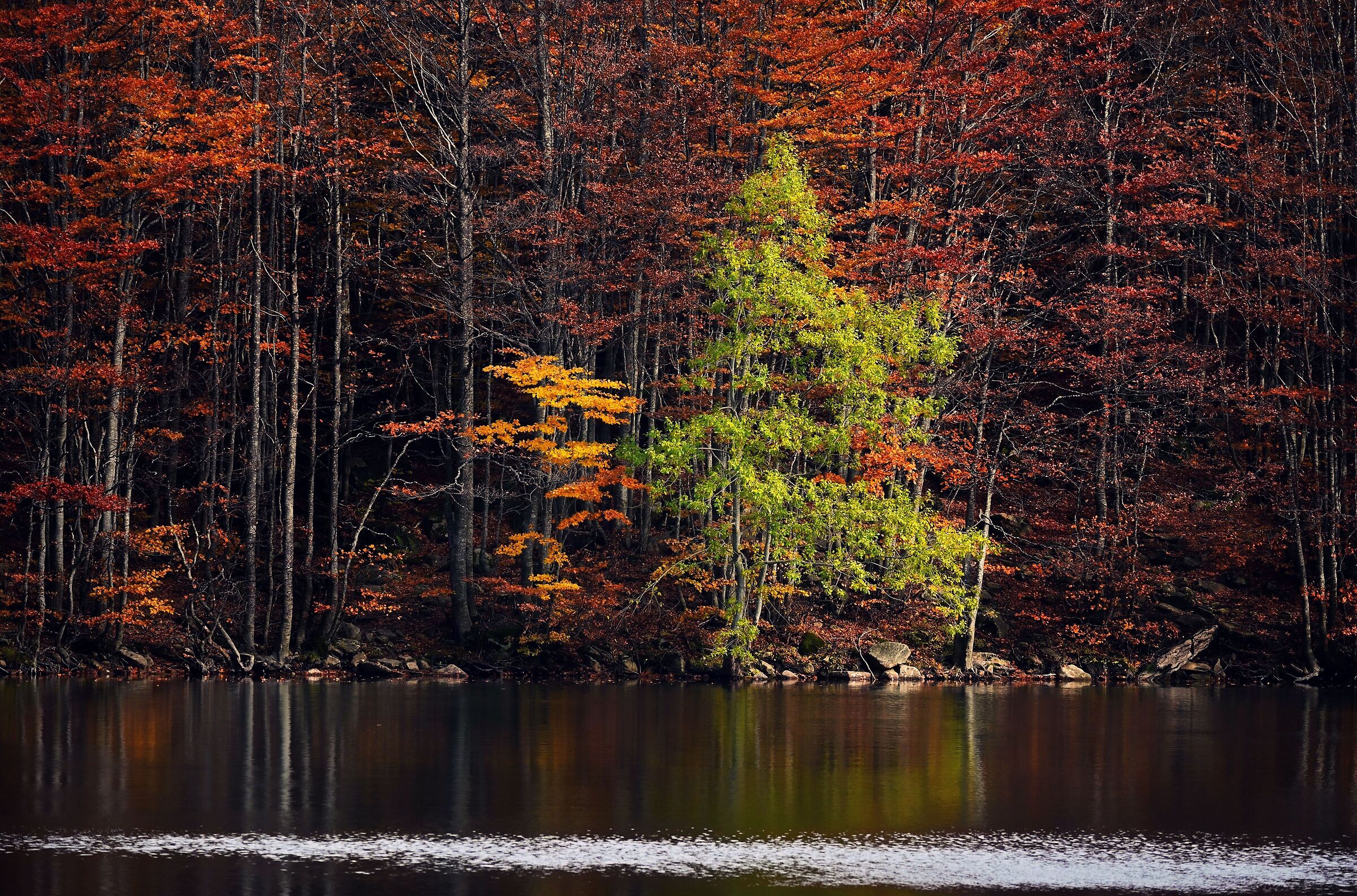 Autumn Couple