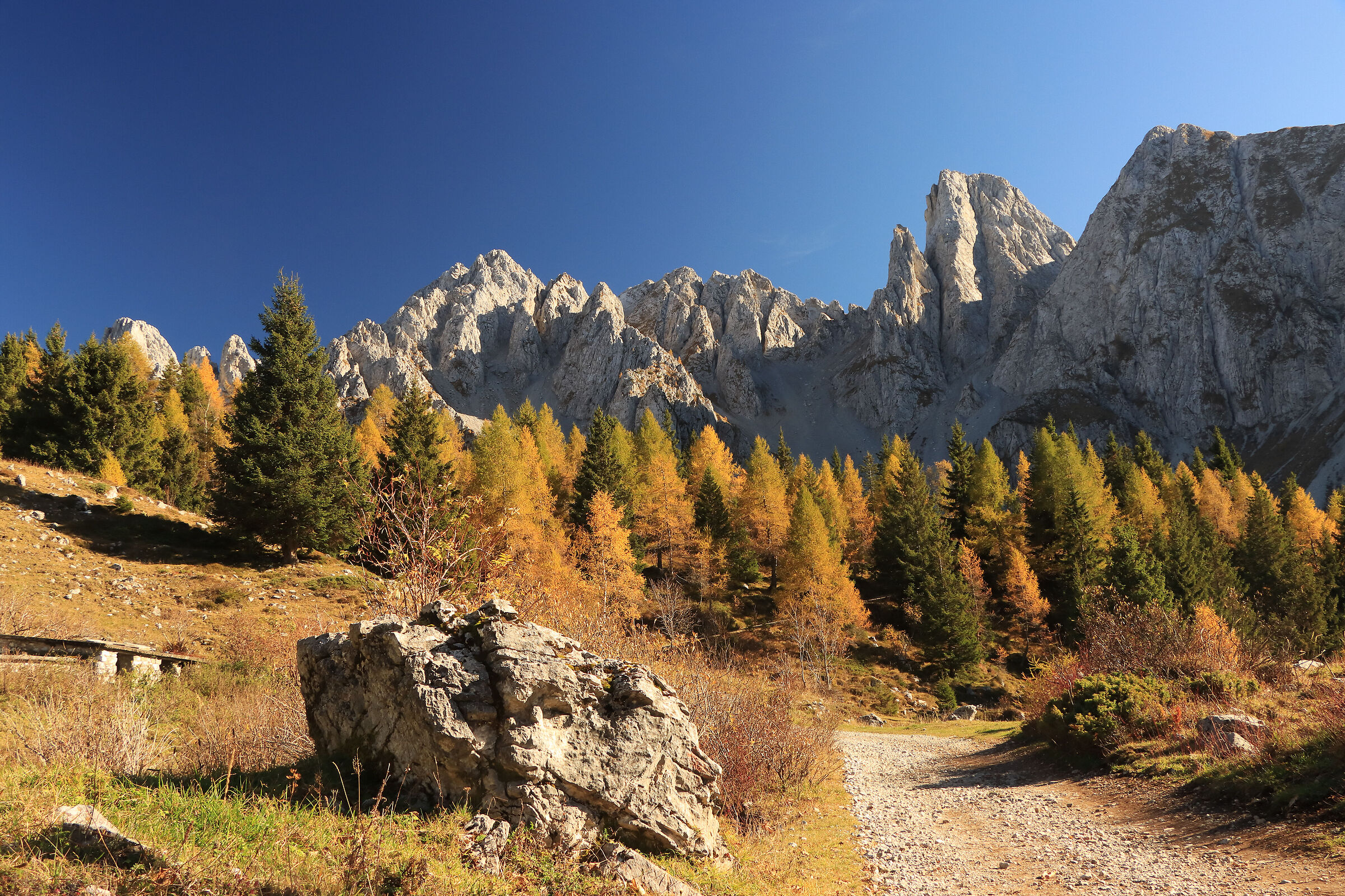 splendour at Campelli