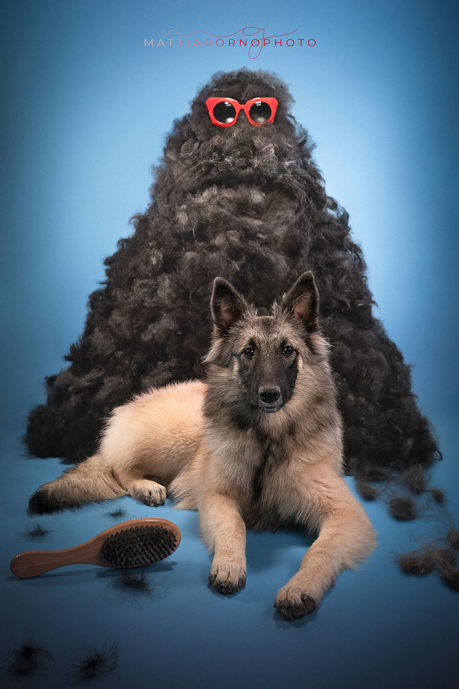 Fur Monster - Model yuki