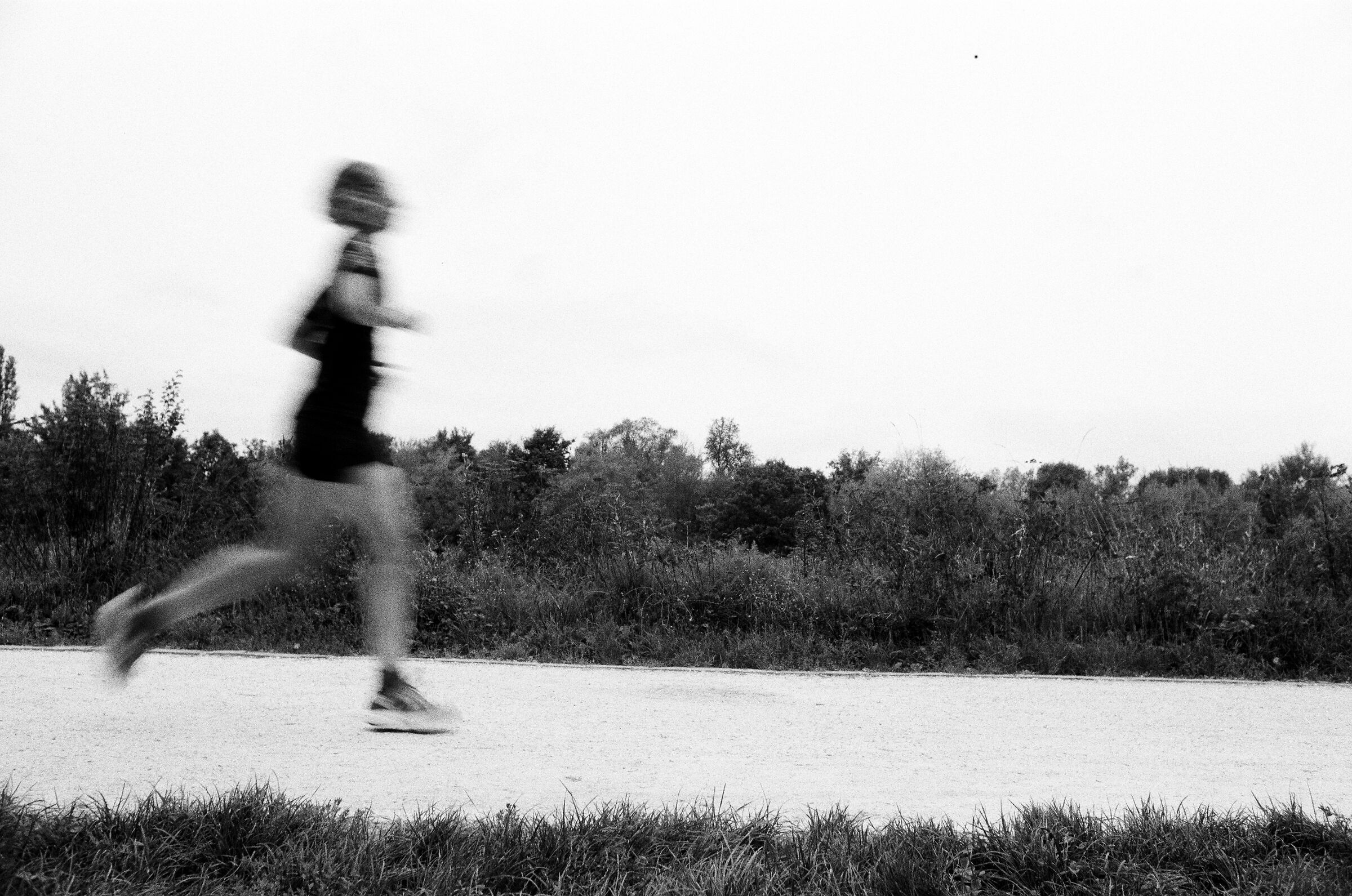 Parco Nord Milano, 2025