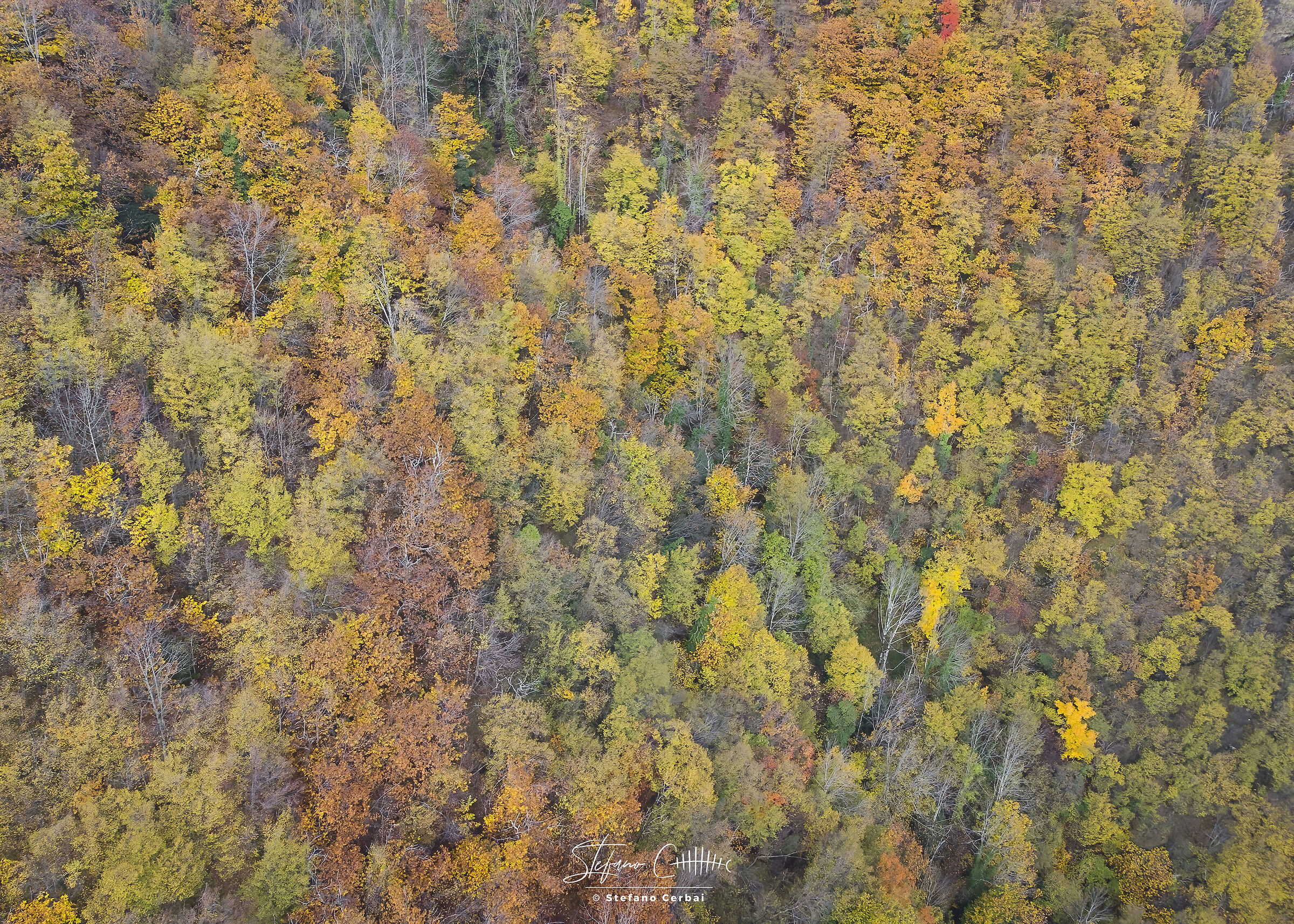 Autunno