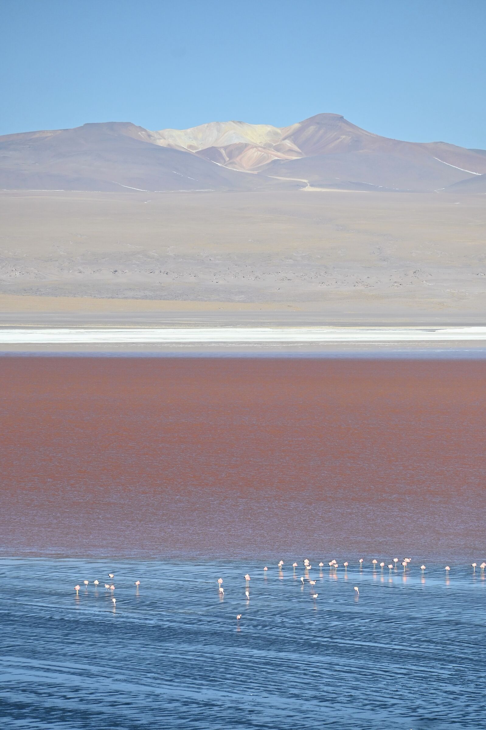 Warm colours in cold environments