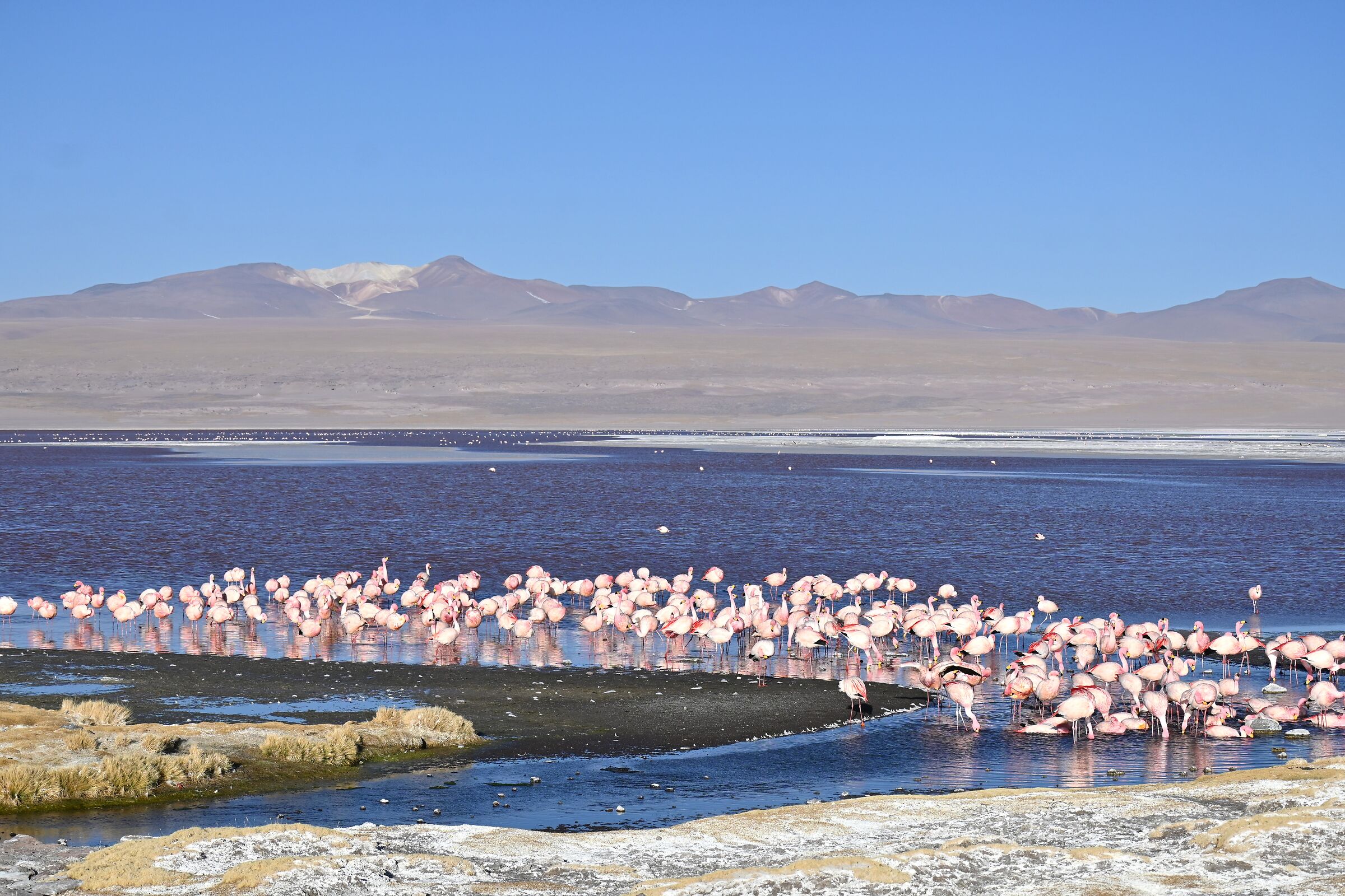 We are in charge here!