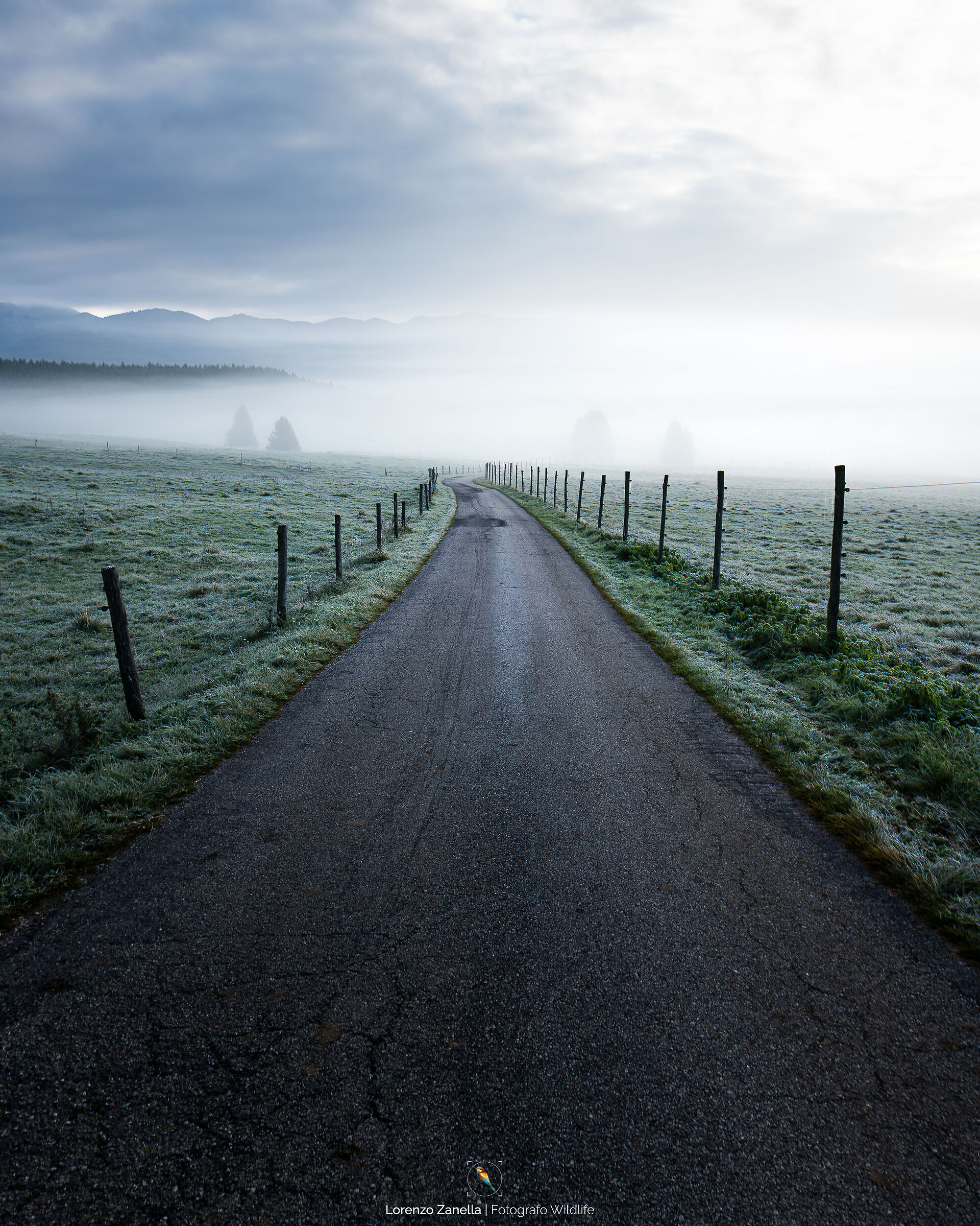 Strade verso la nebbia