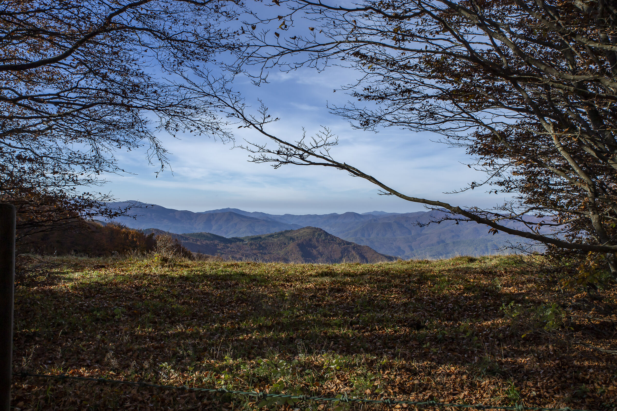 il mio panorama