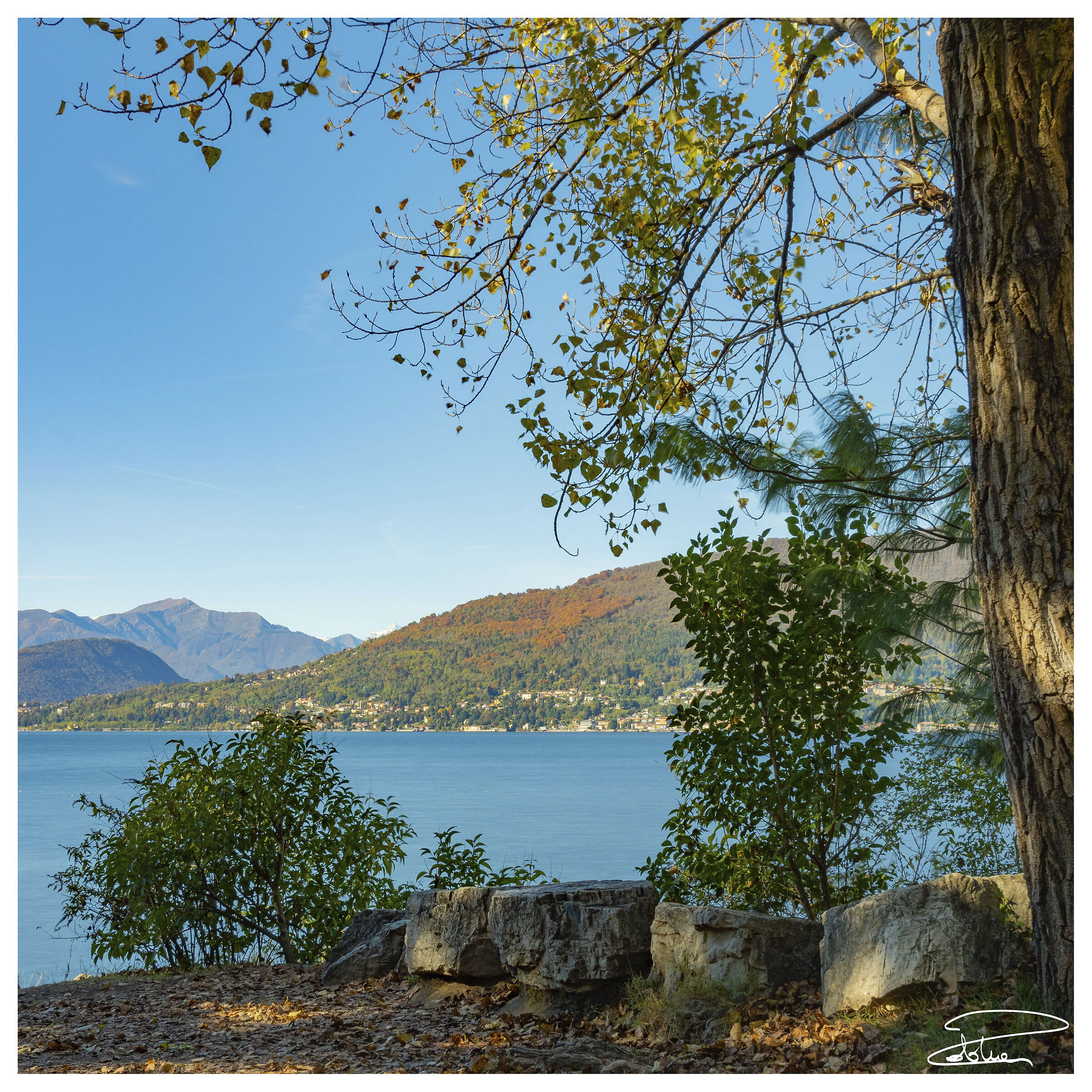 Panoramica