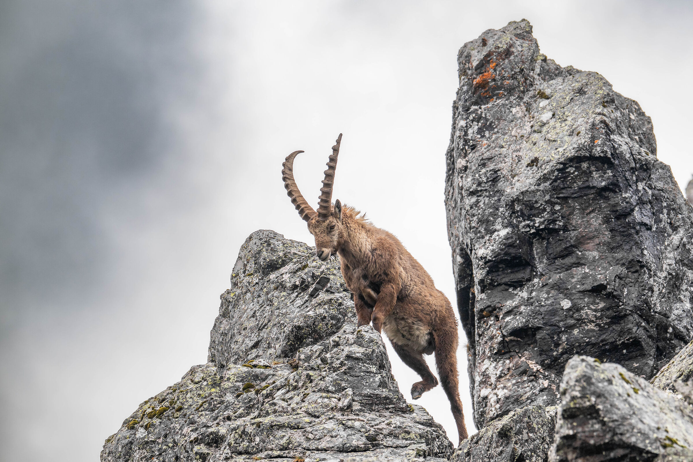 Ascending the throne