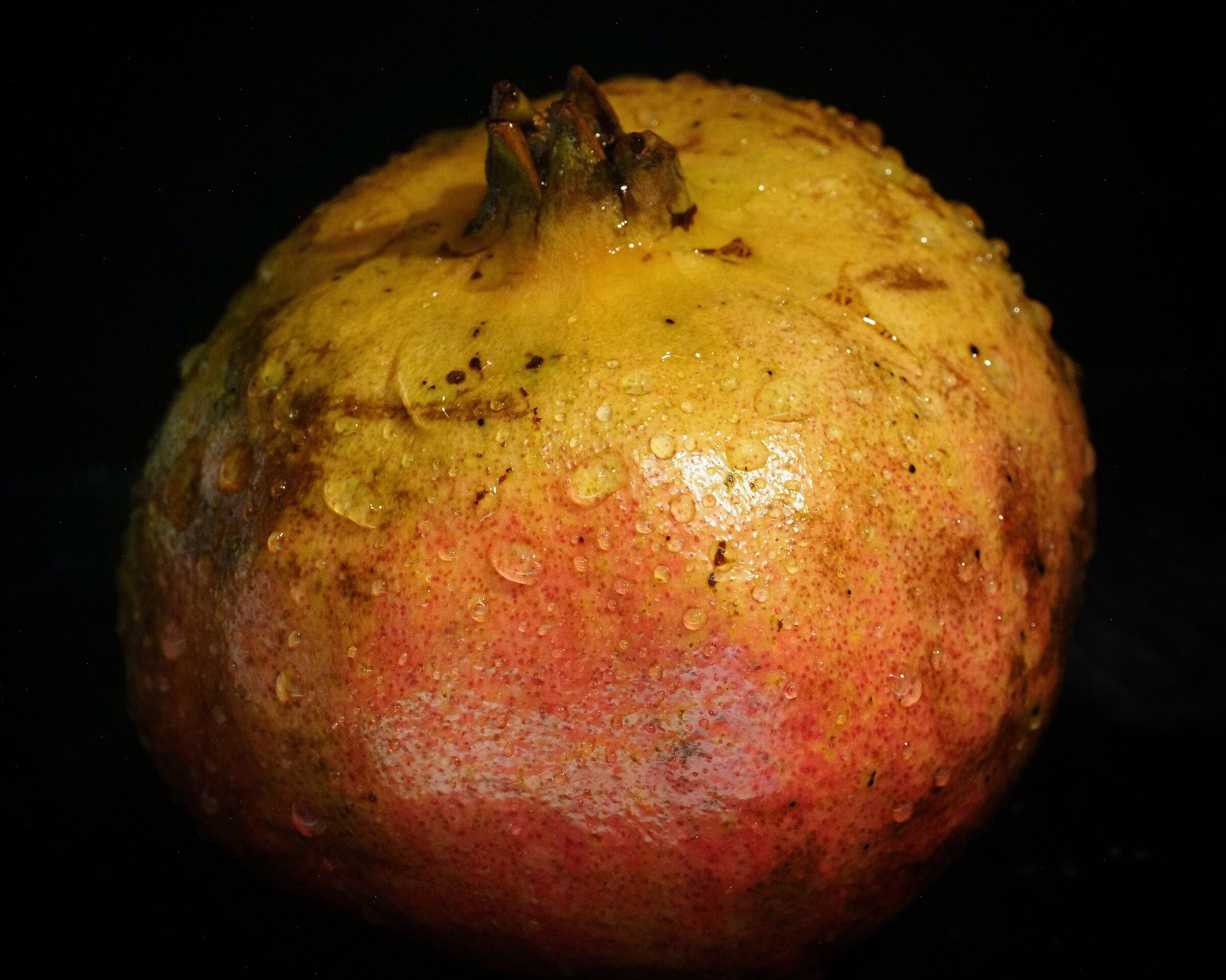 The pomegranate