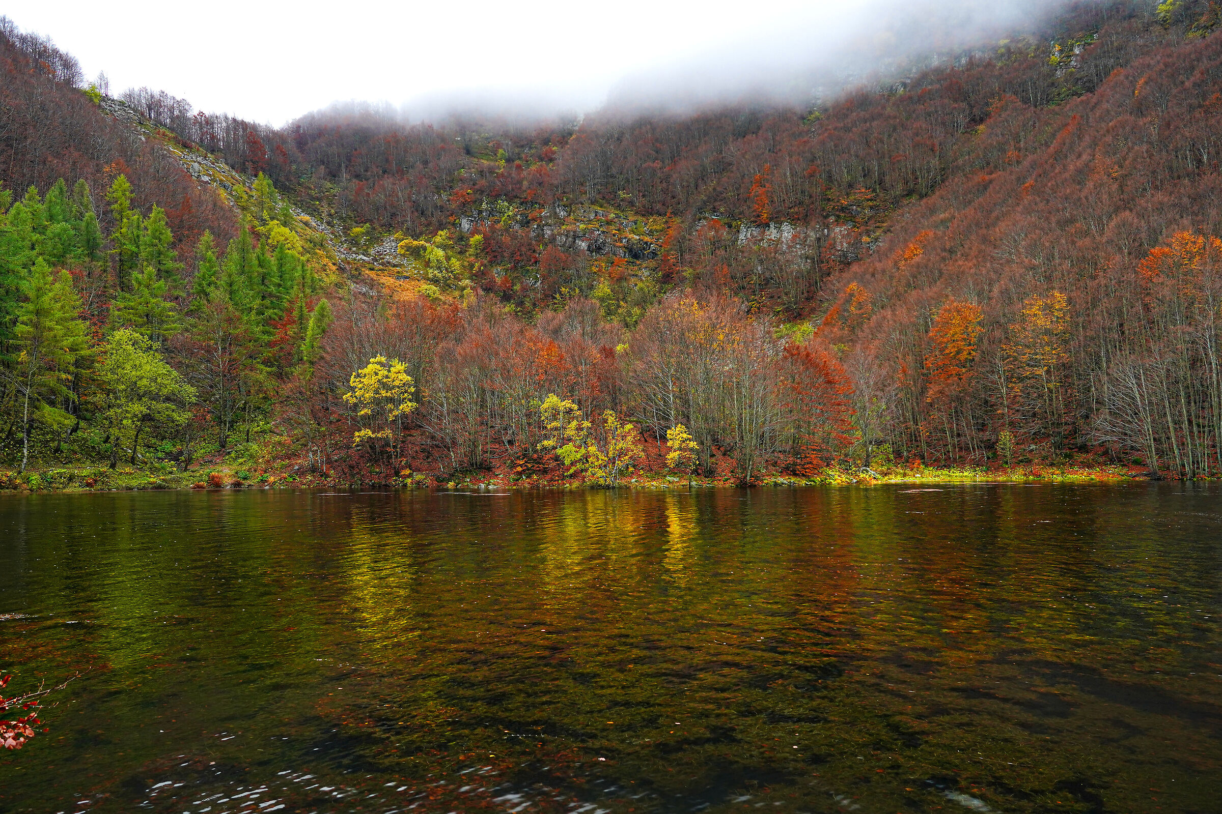the autumn lake