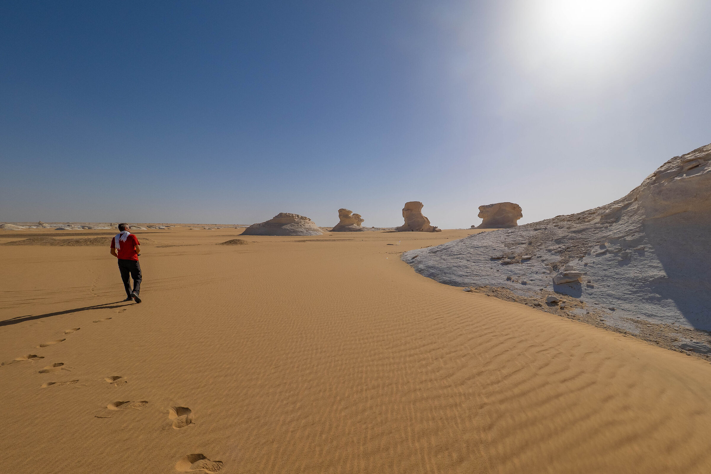 in cammino tra le sculture!