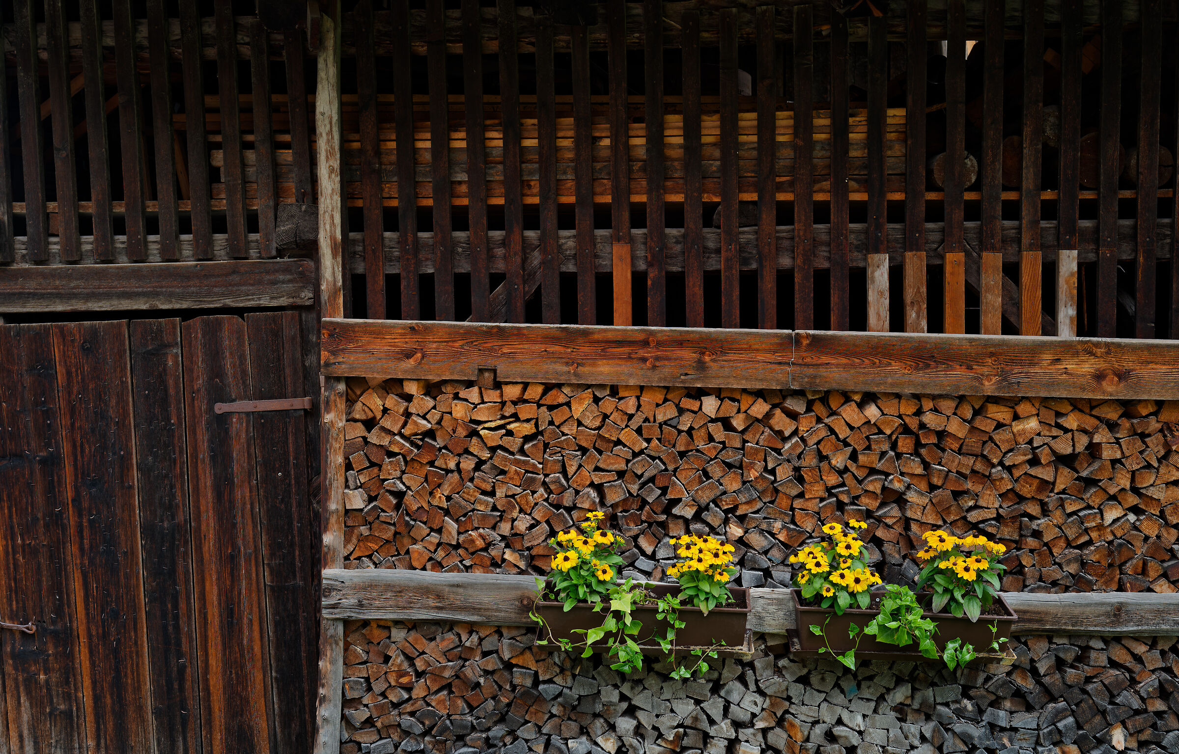 Santa Magdalena, 2025