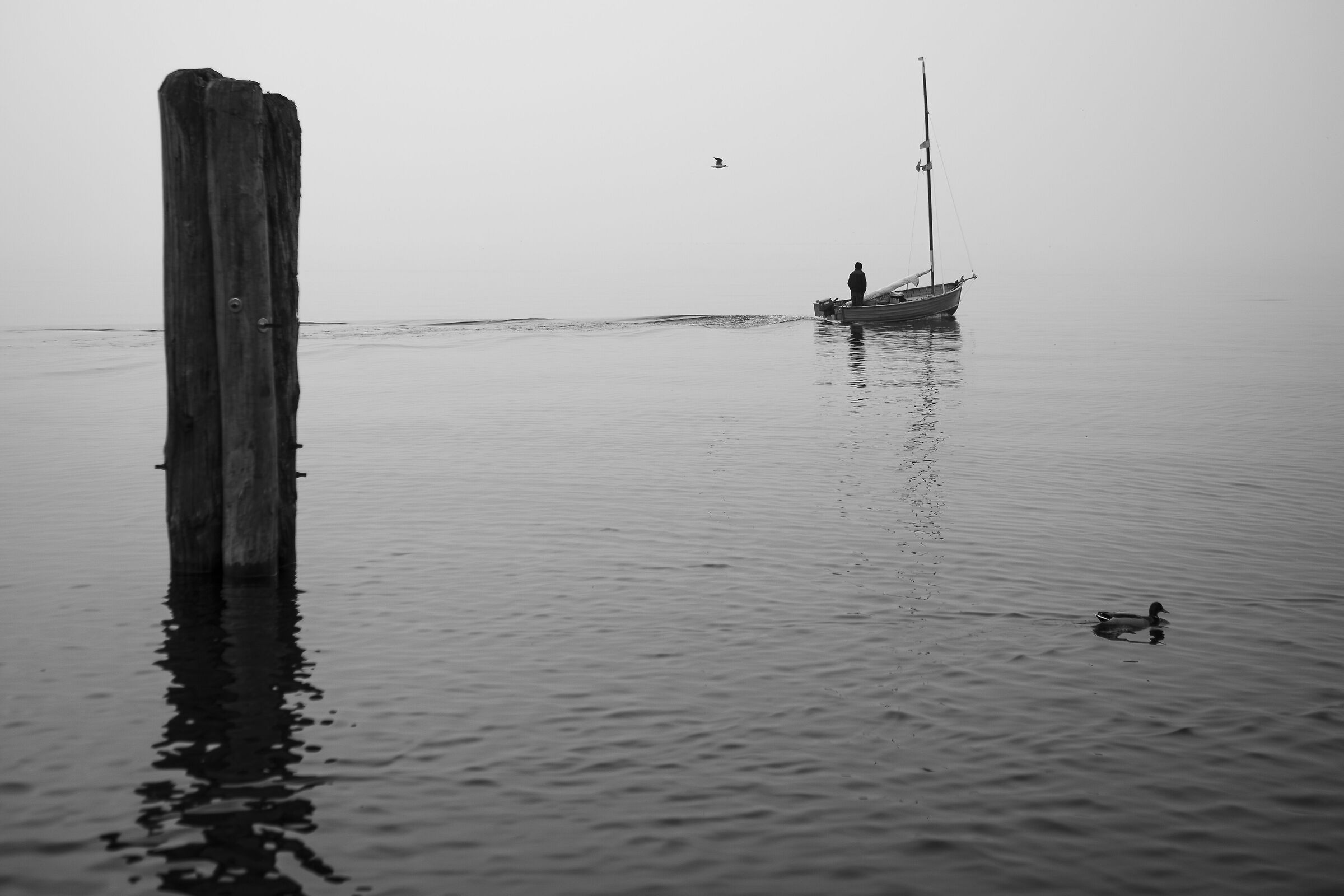 LONELINESS