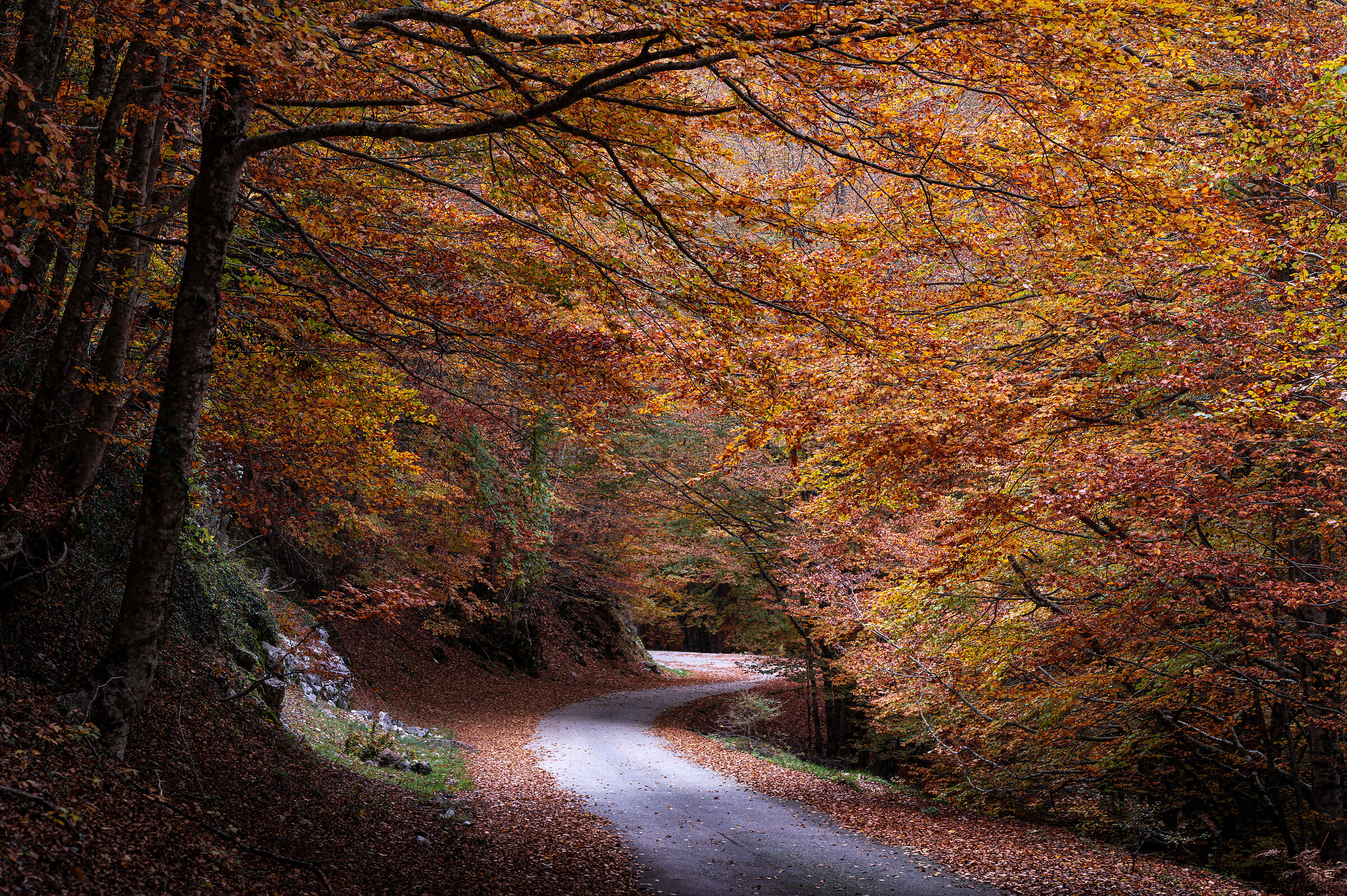 Irpinia