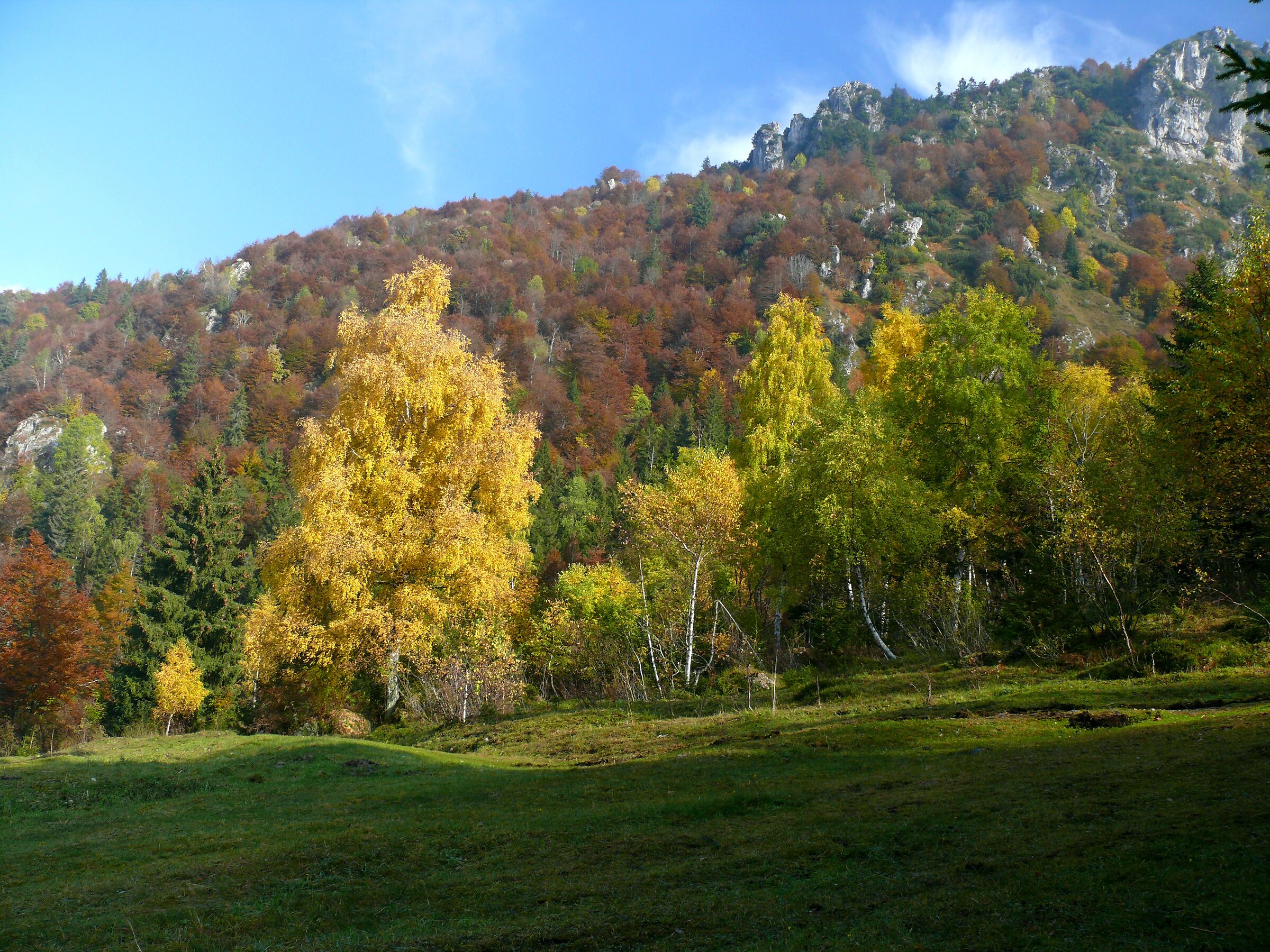 Autumn in Pian Mussa( bg