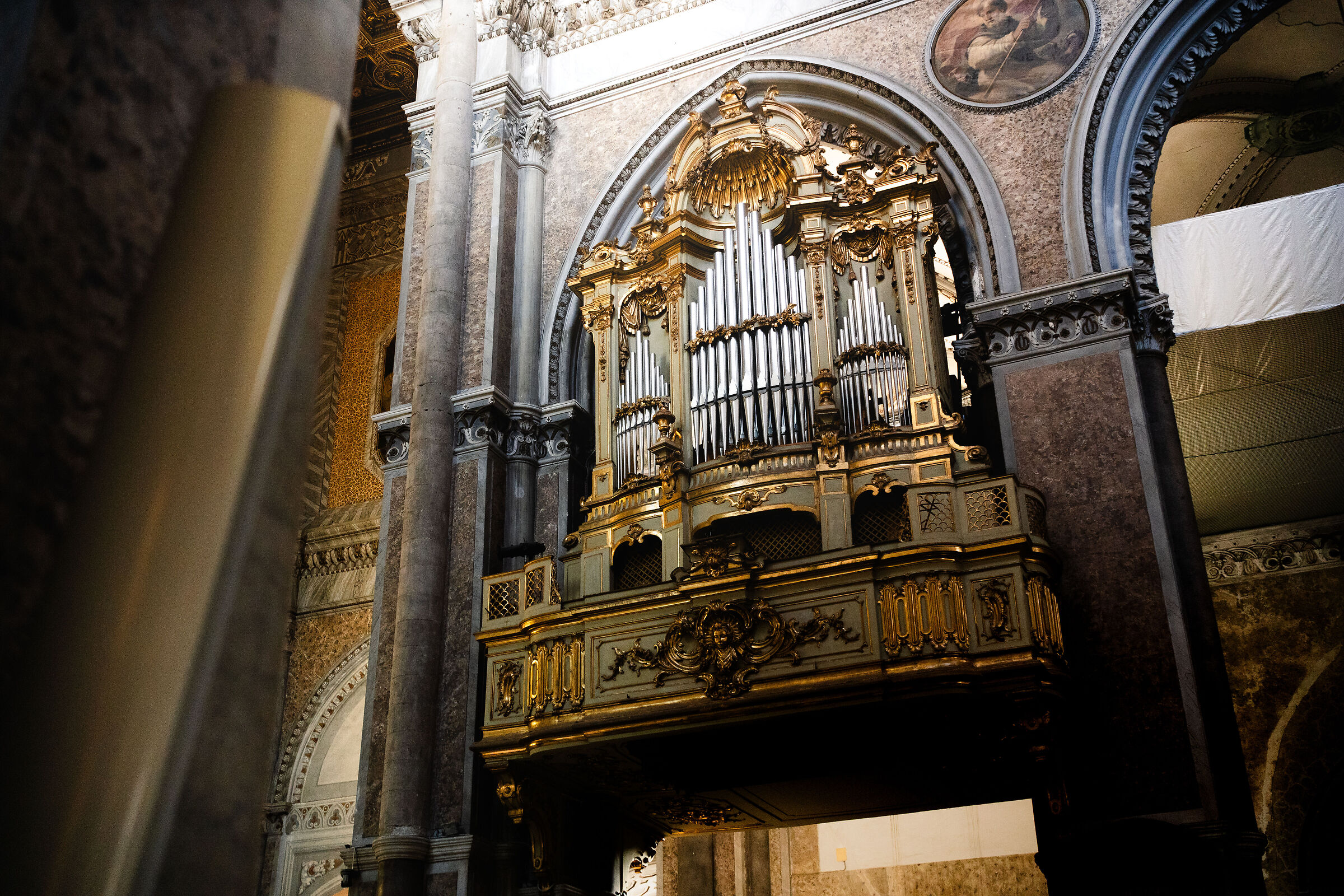 Organ