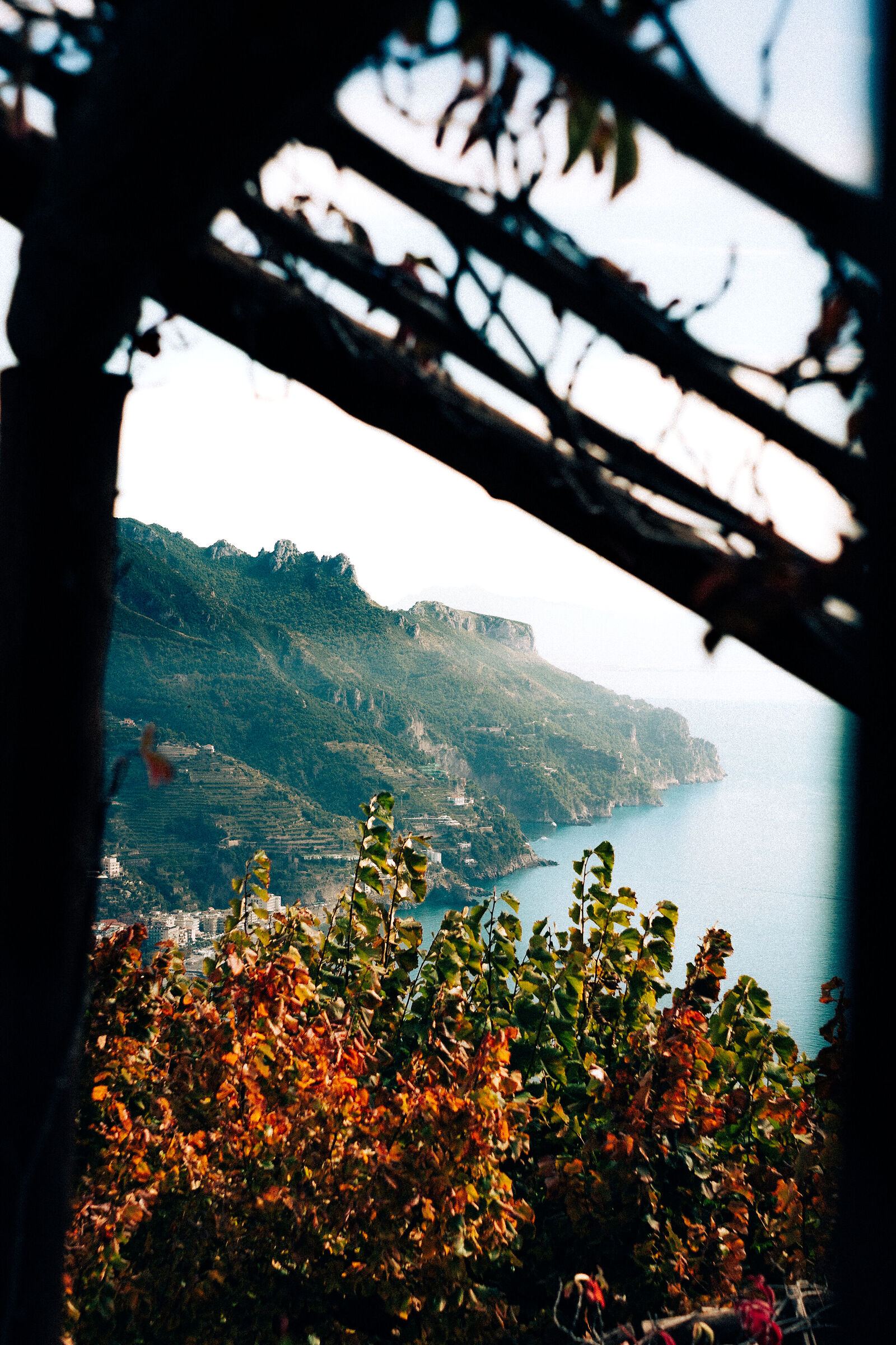 Ravello View