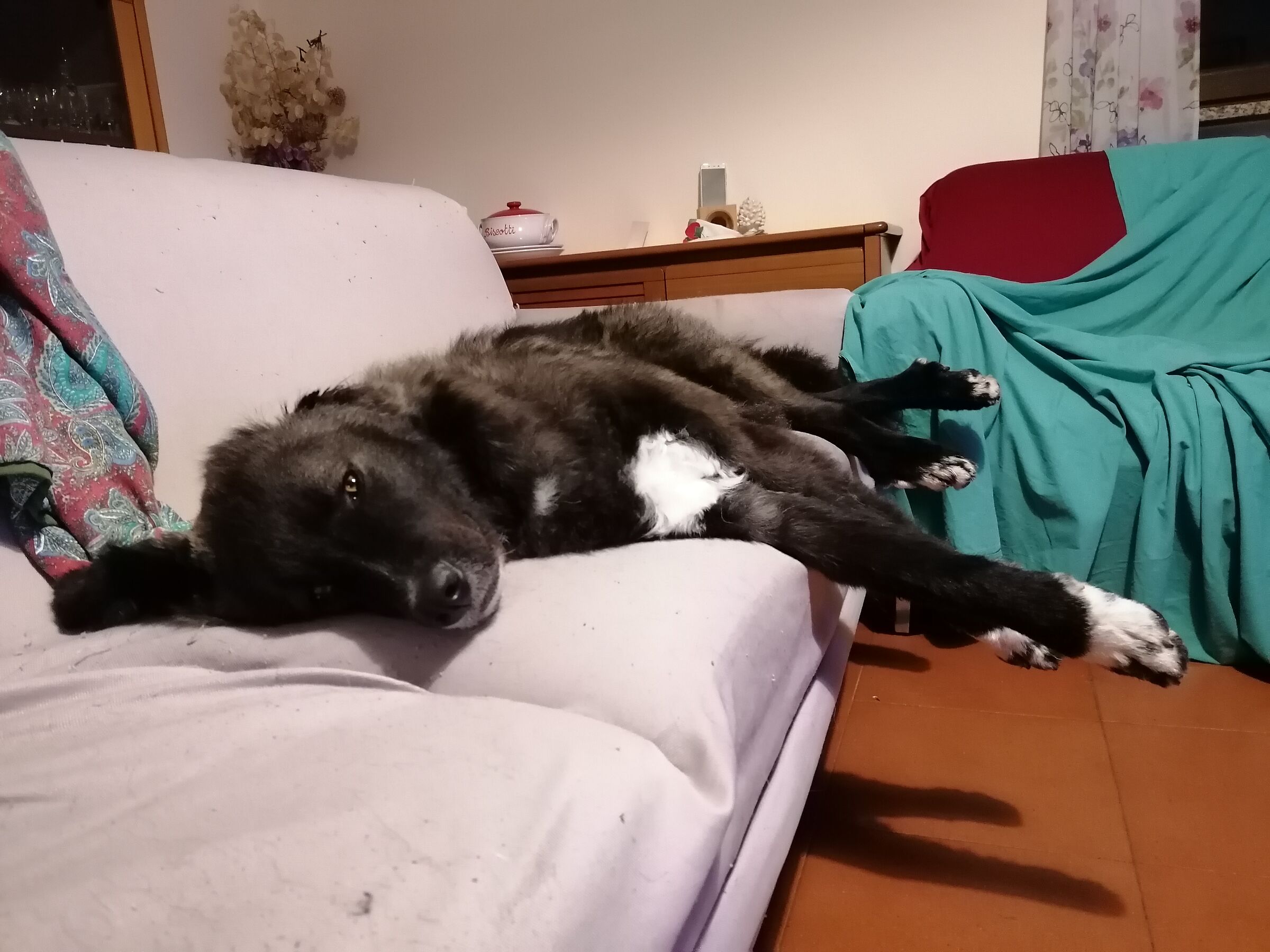 I'm sleepy, turn off the light