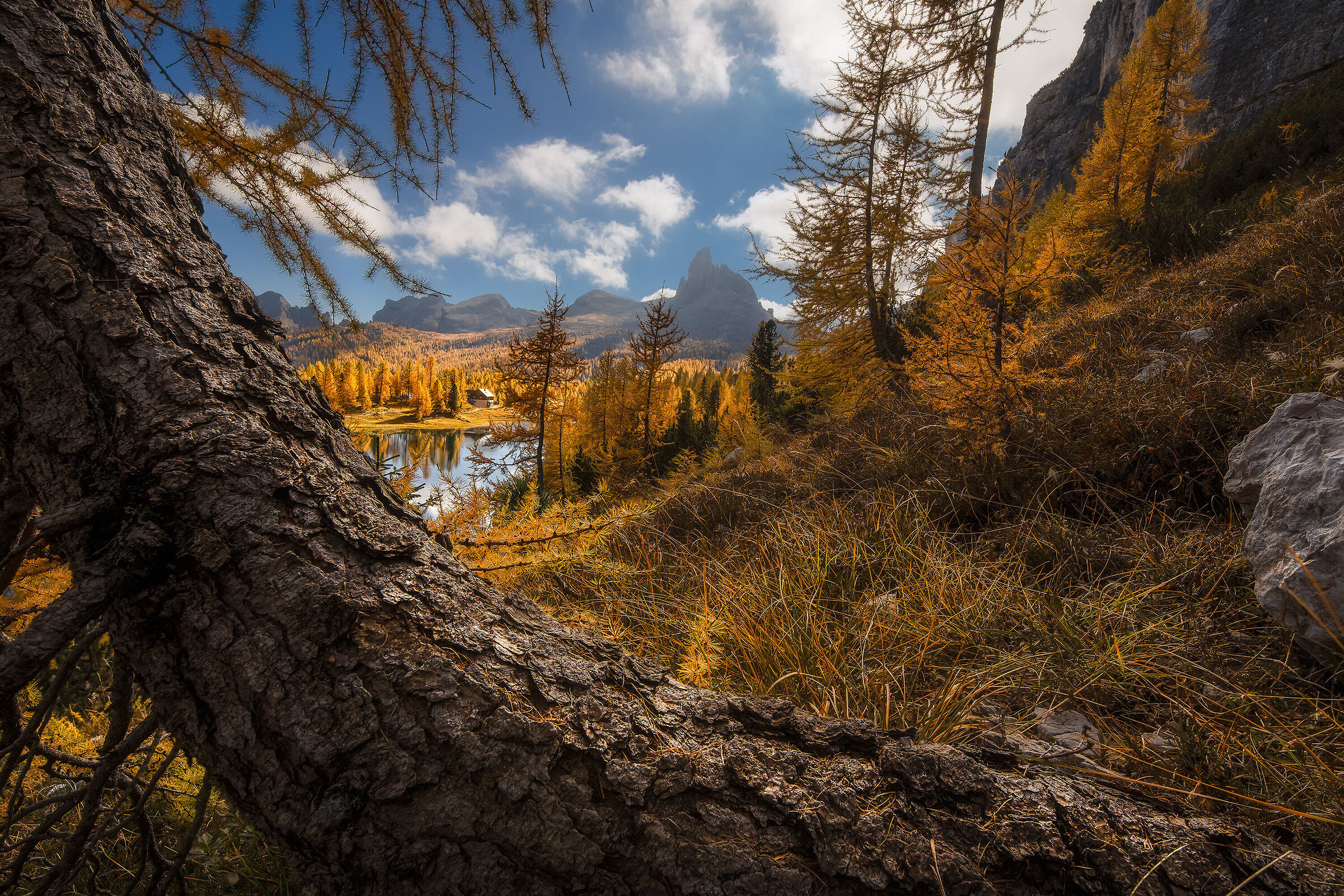 Autumn Vibes