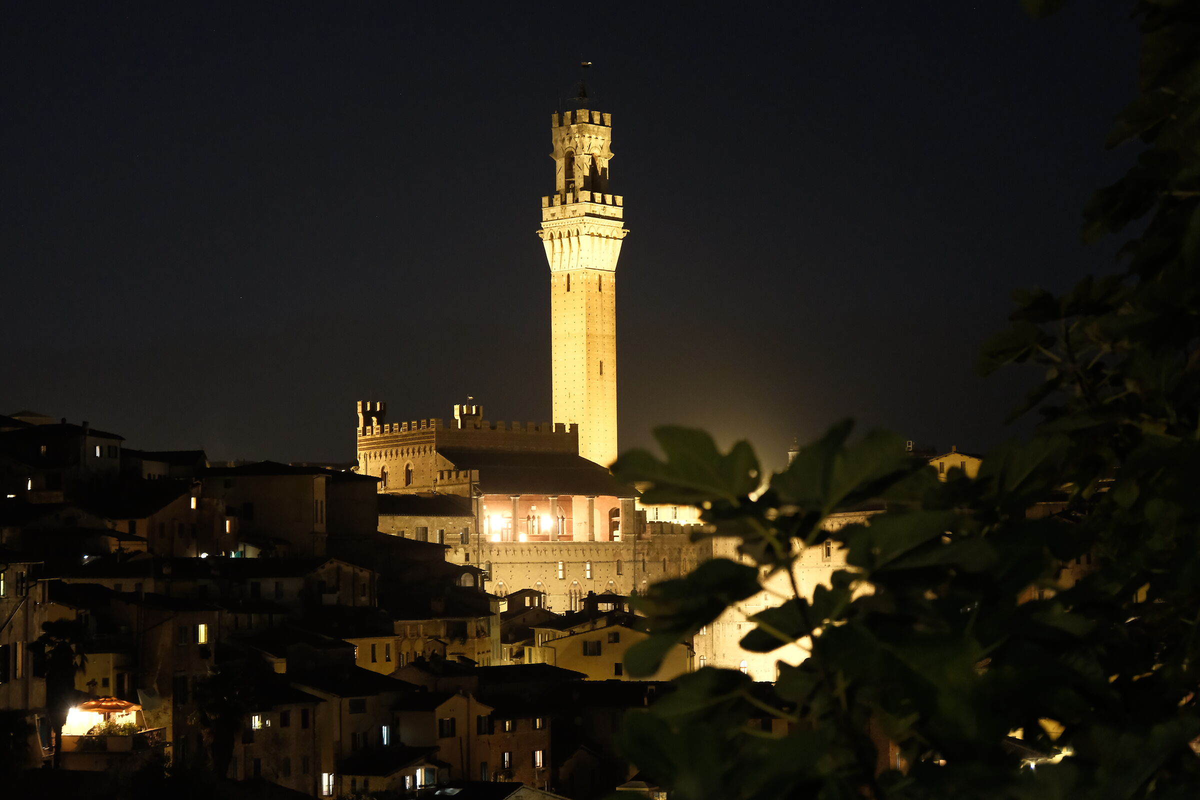 Siena