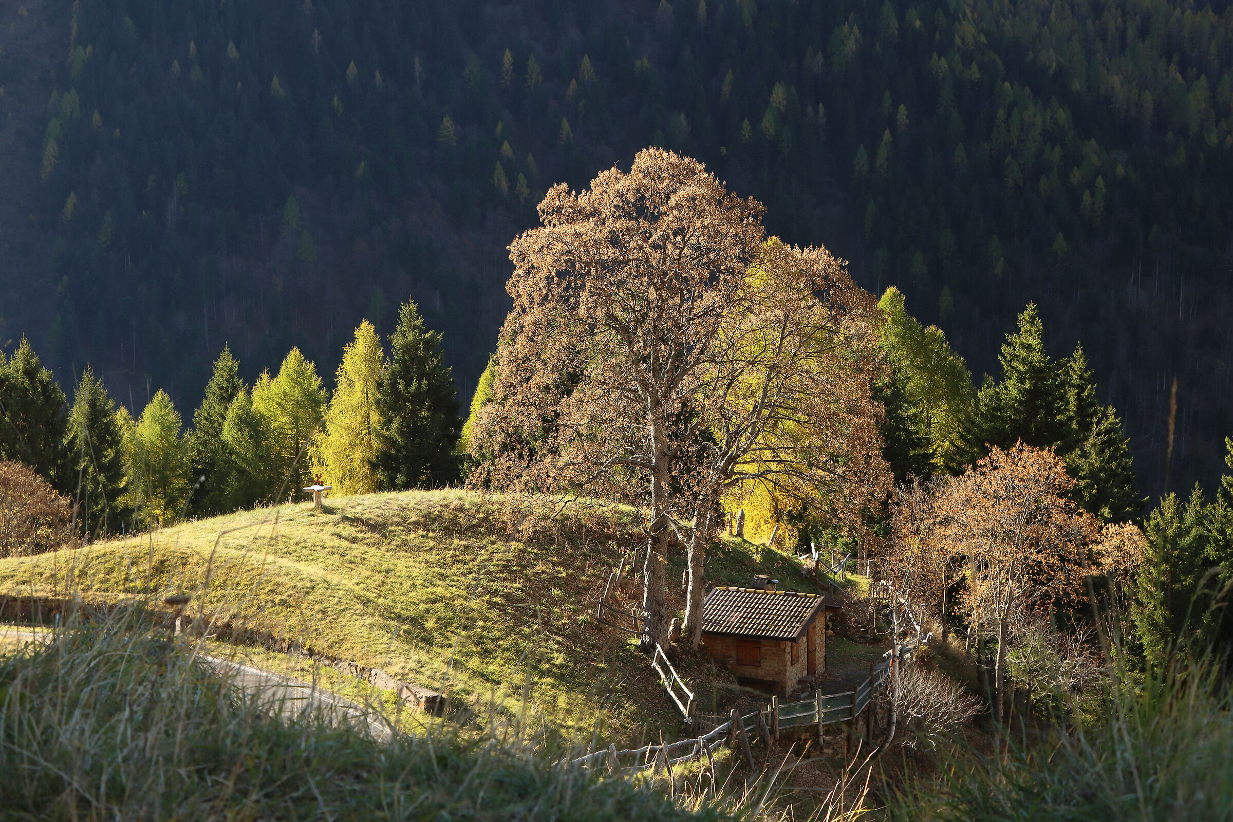 A small paradise in Scalvino