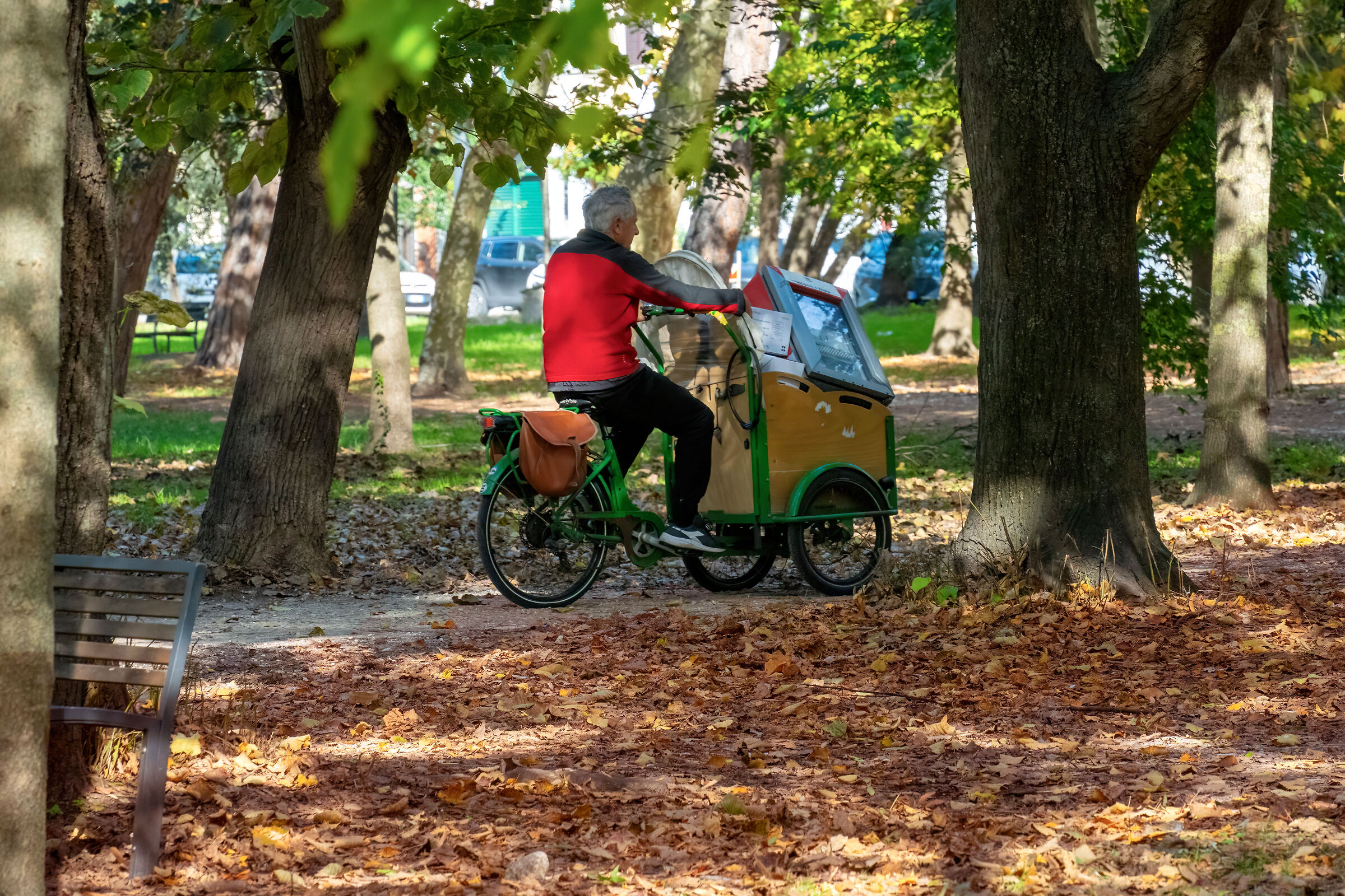 Il rigattiere in pineta